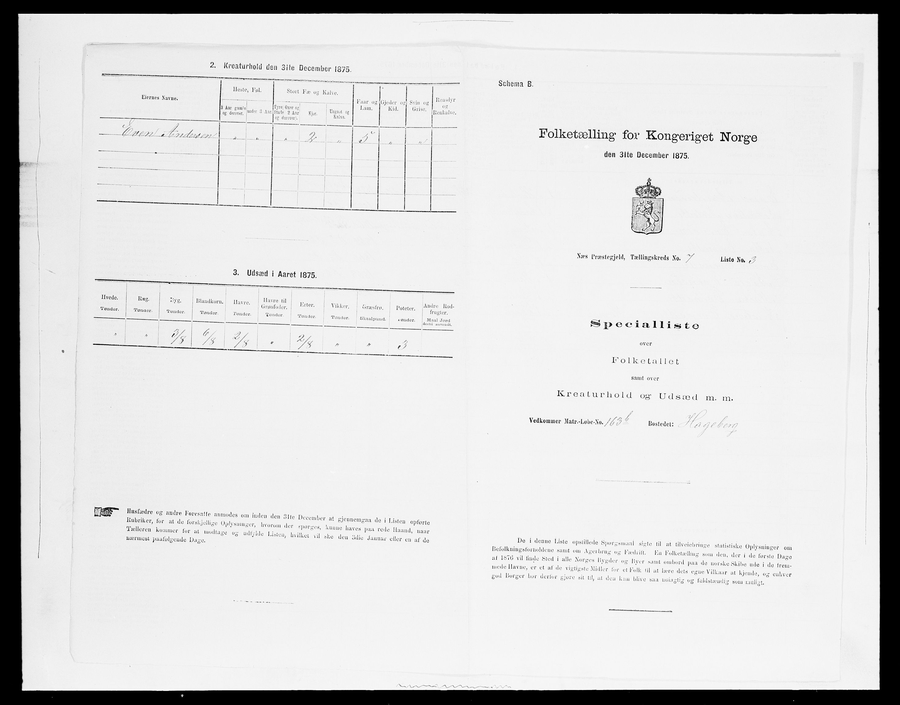 SAH, 1875 census for 0411P Nes, 1875, p. 1204