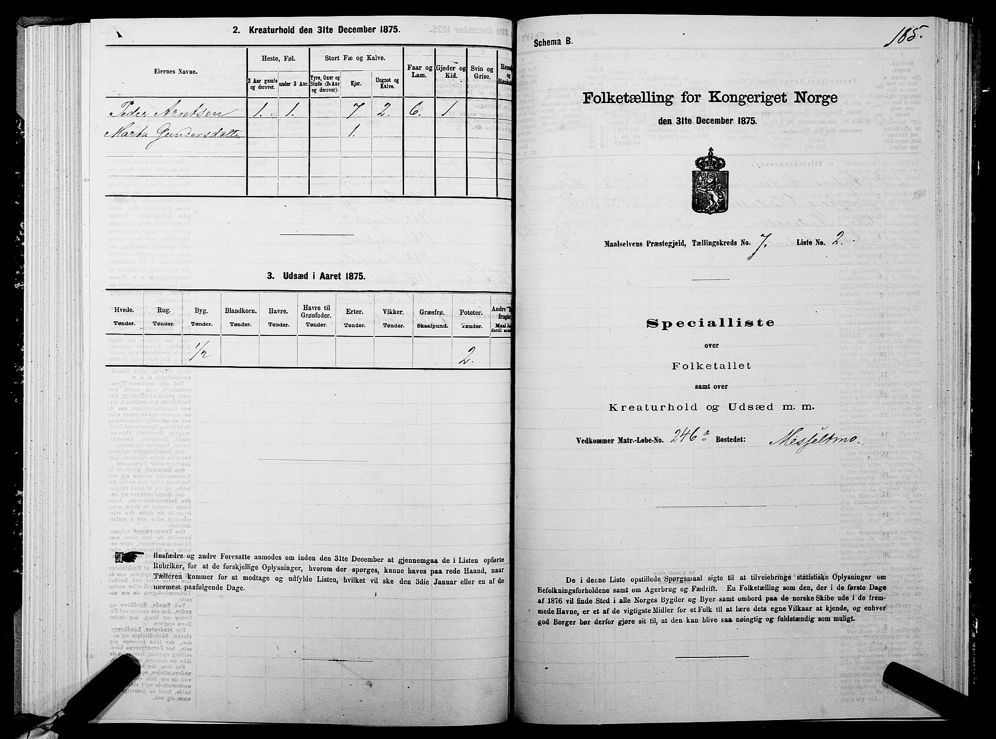 SATØ, 1875 census for 1924P Målselv, 1875, p. 3185