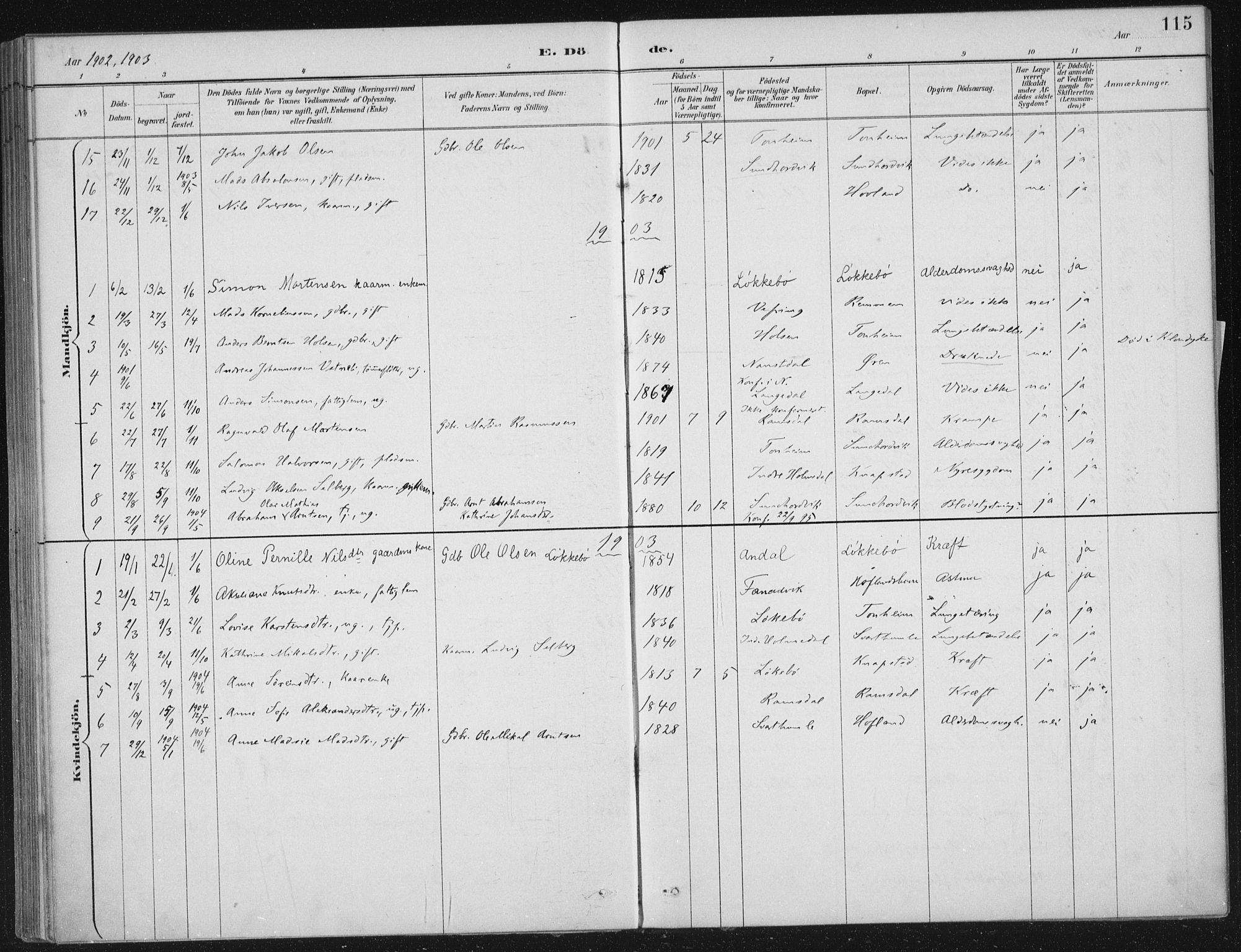 Kinn sokneprestembete, SAB/A-80801/H/Haa/Haae/L0001: Parish register (official) no. E 1, 1890-1916, p. 115