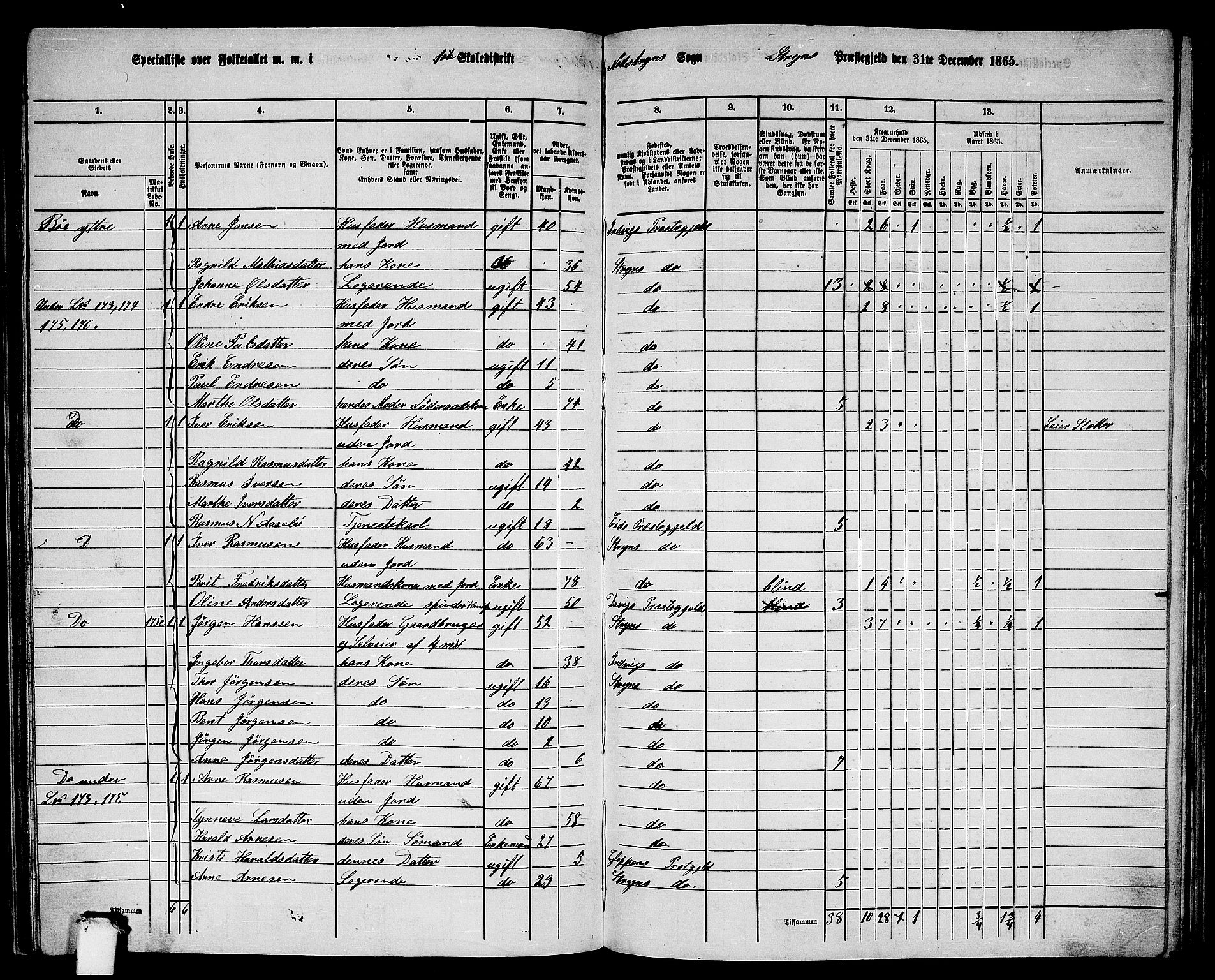 RA, 1865 census for Stryn, 1865, p. 63