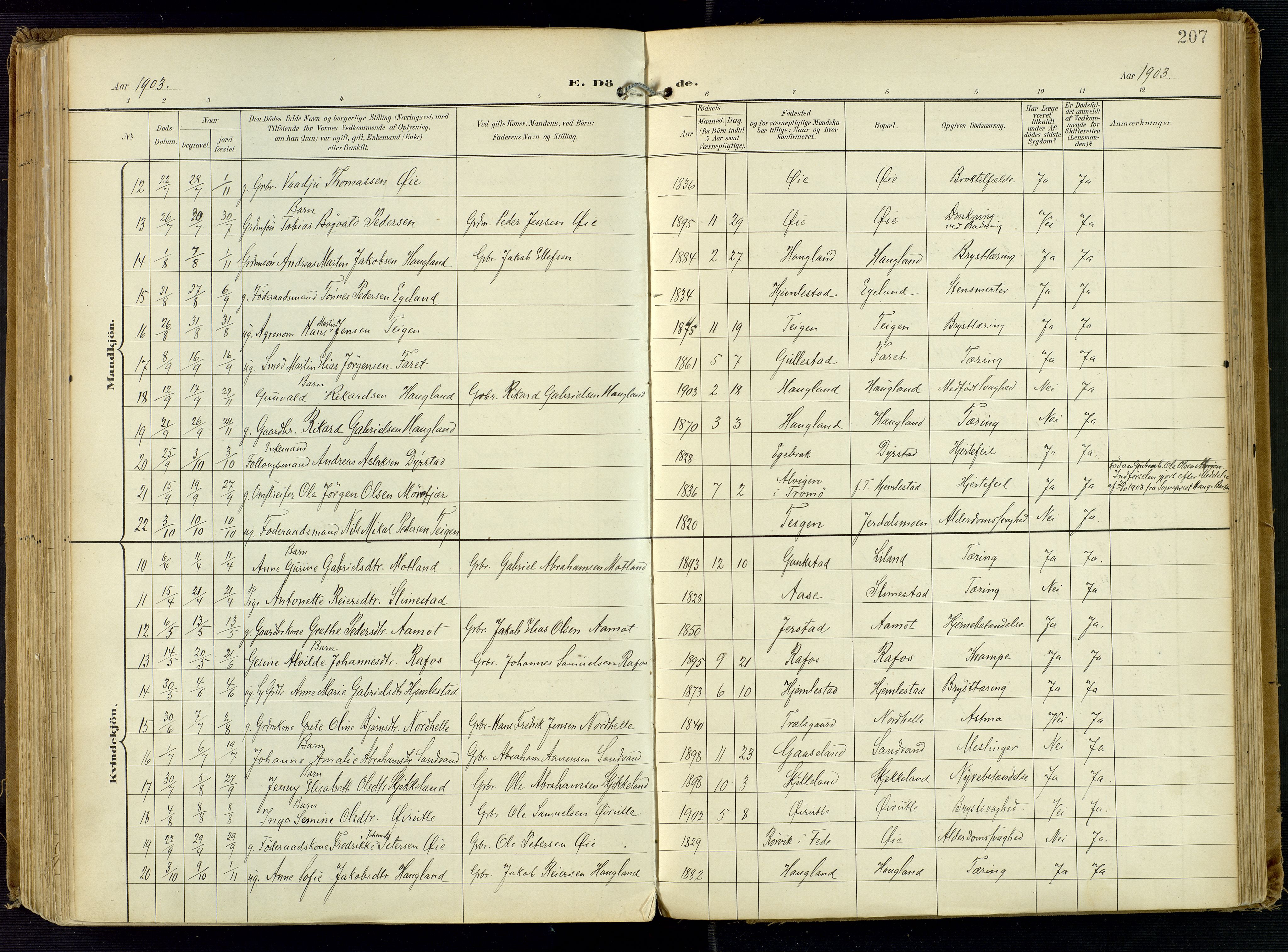 Kvinesdal sokneprestkontor, AV/SAK-1111-0026/F/Fa/Fab/L0009: Parish register (official) no. A 9, 1898-1915, p. 207