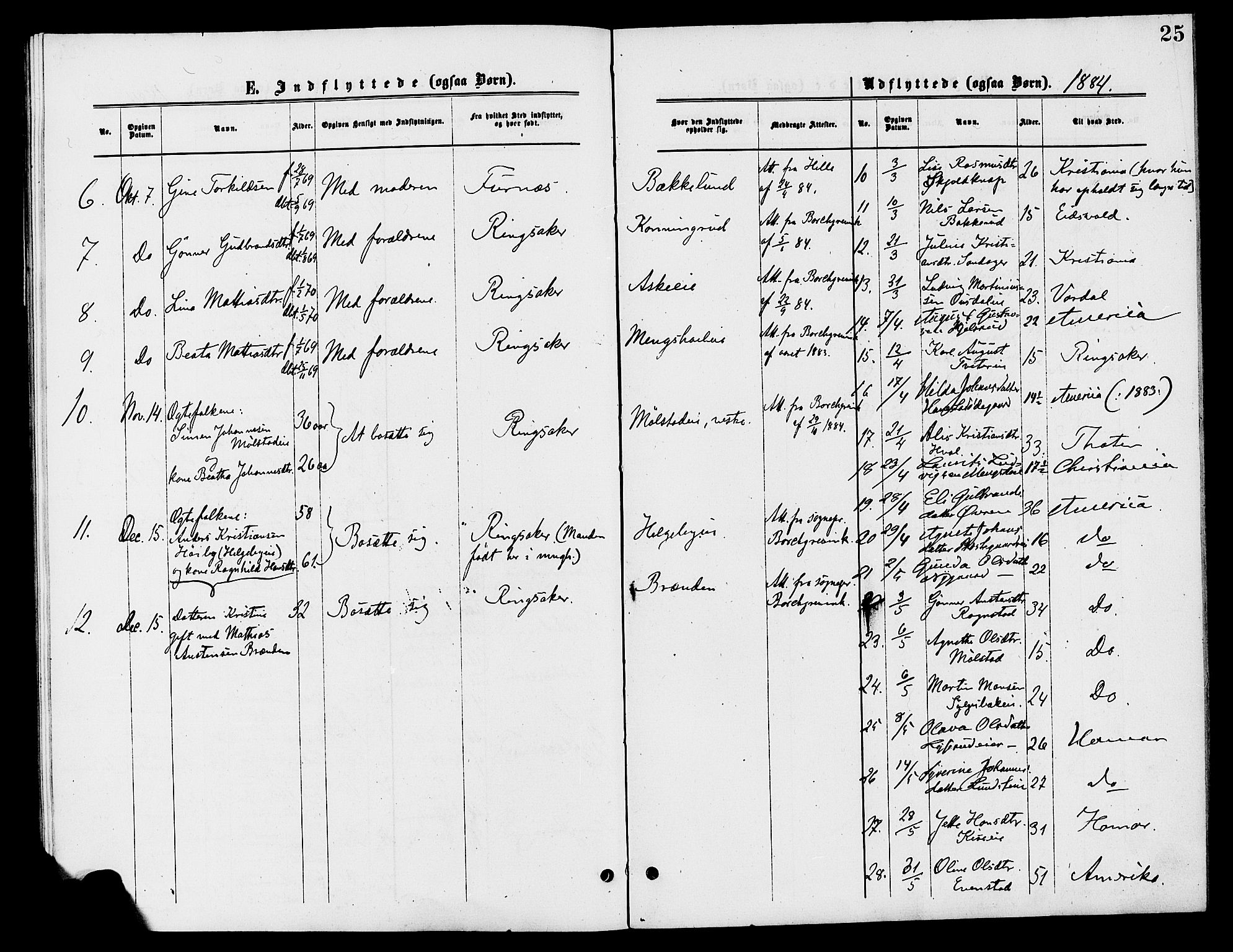 Nes prestekontor, Hedmark, SAH/PREST-020/K/Ka/L0007: Parish register (official) no. 7, 1877-1886, p. 25