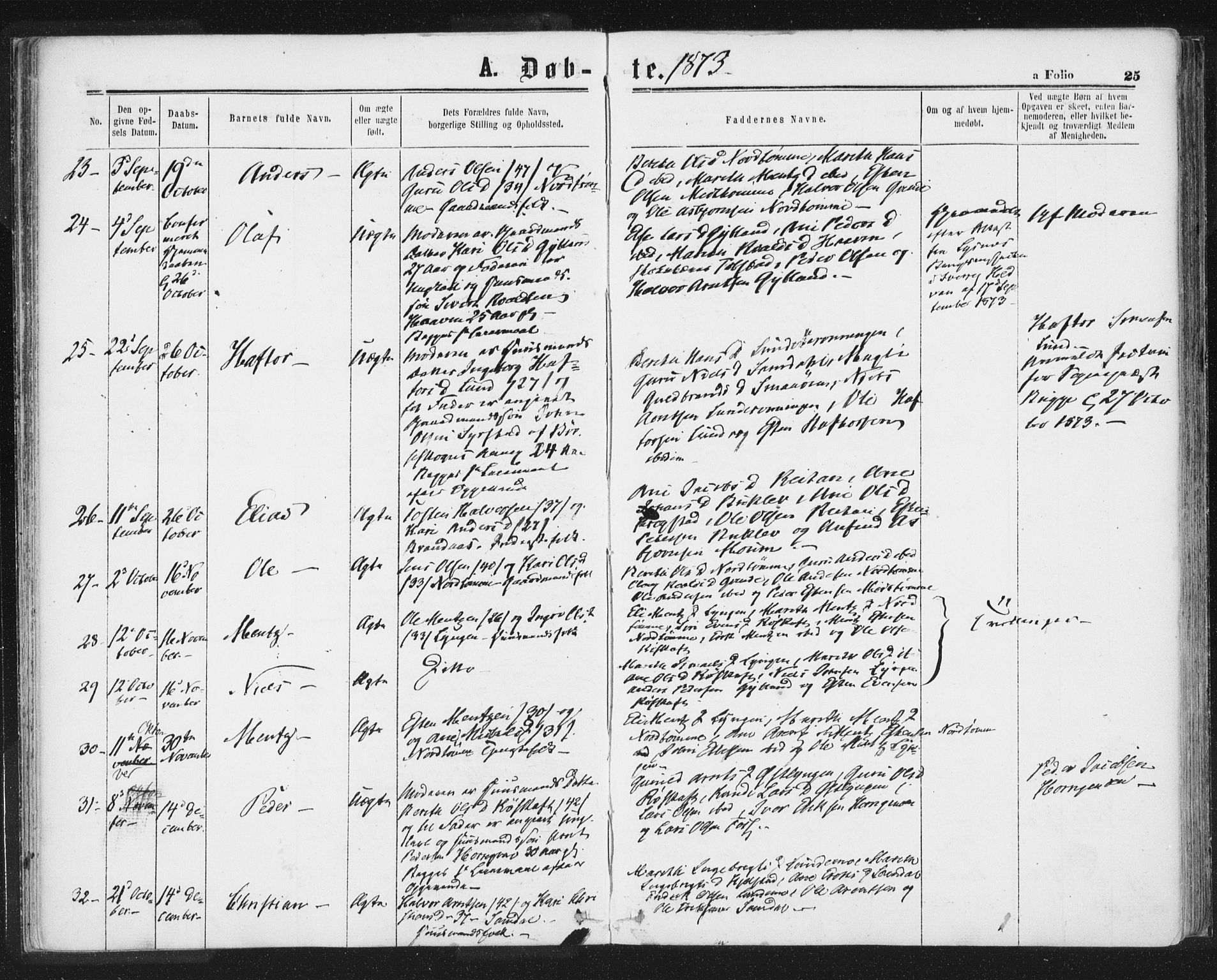 Ministerialprotokoller, klokkerbøker og fødselsregistre - Sør-Trøndelag, SAT/A-1456/692/L1104: Parish register (official) no. 692A04, 1862-1878, p. 25