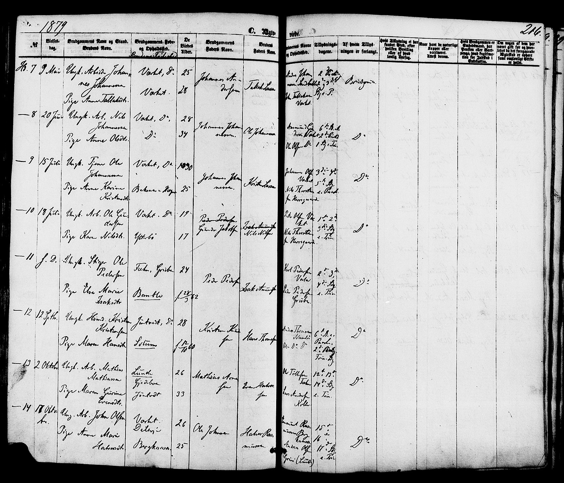 Holla kirkebøker, AV/SAKO-A-272/F/Fa/L0007: Parish register (official) no. 7, 1869-1881, p. 216