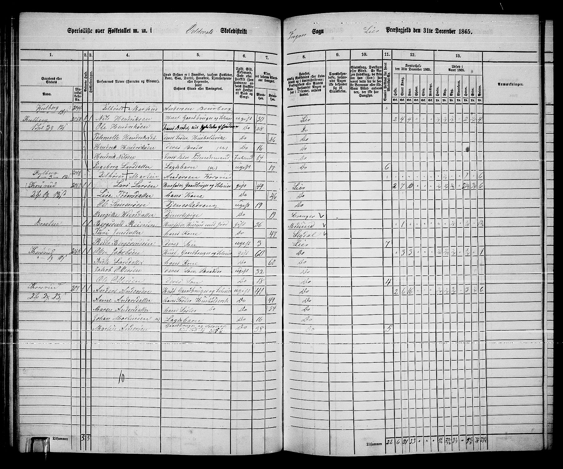 RA, 1865 census for Lier, 1865, p. 125