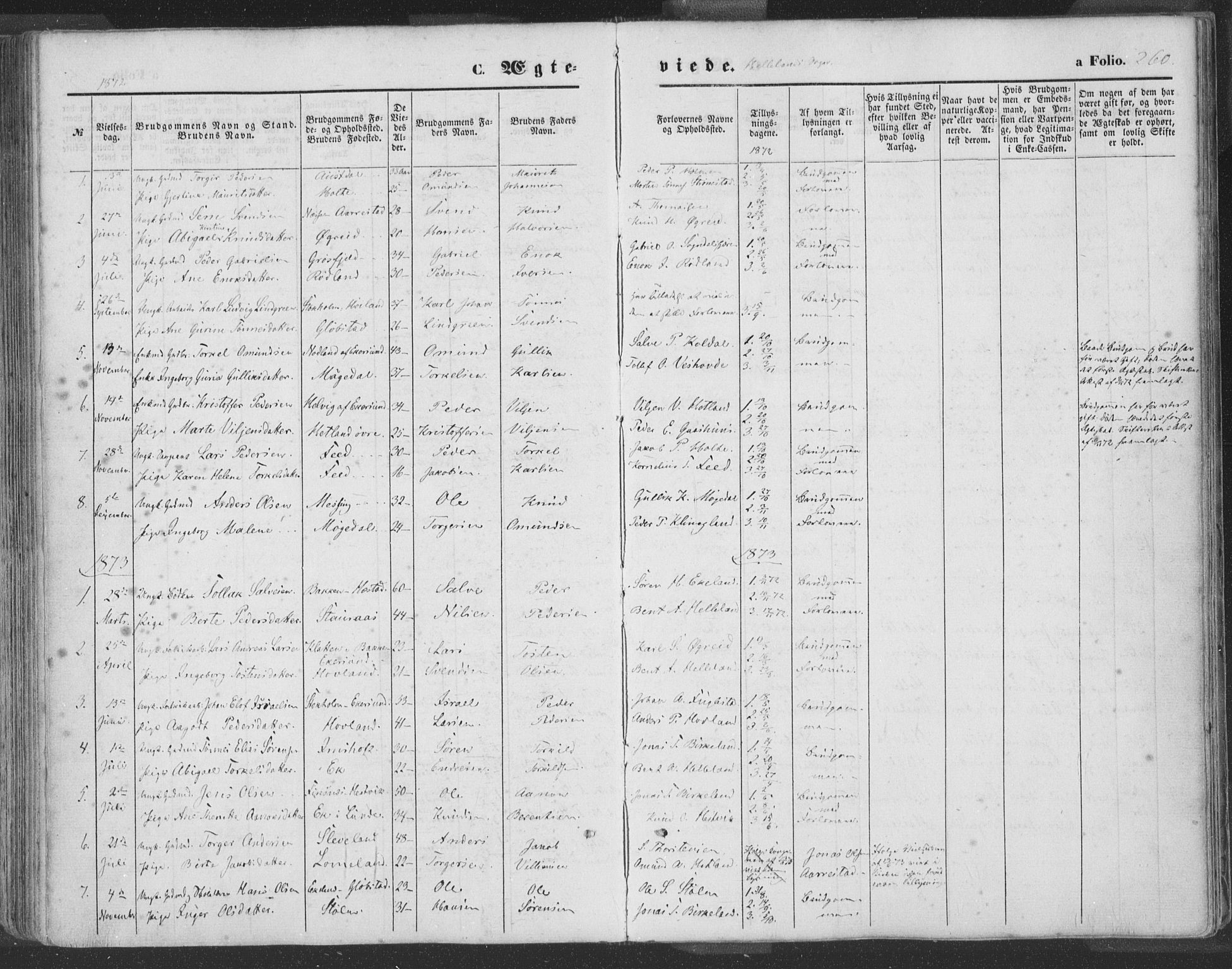 Helleland sokneprestkontor, SAST/A-101810: Parish register (official) no. A 7.1, 1863-1886, p. 260