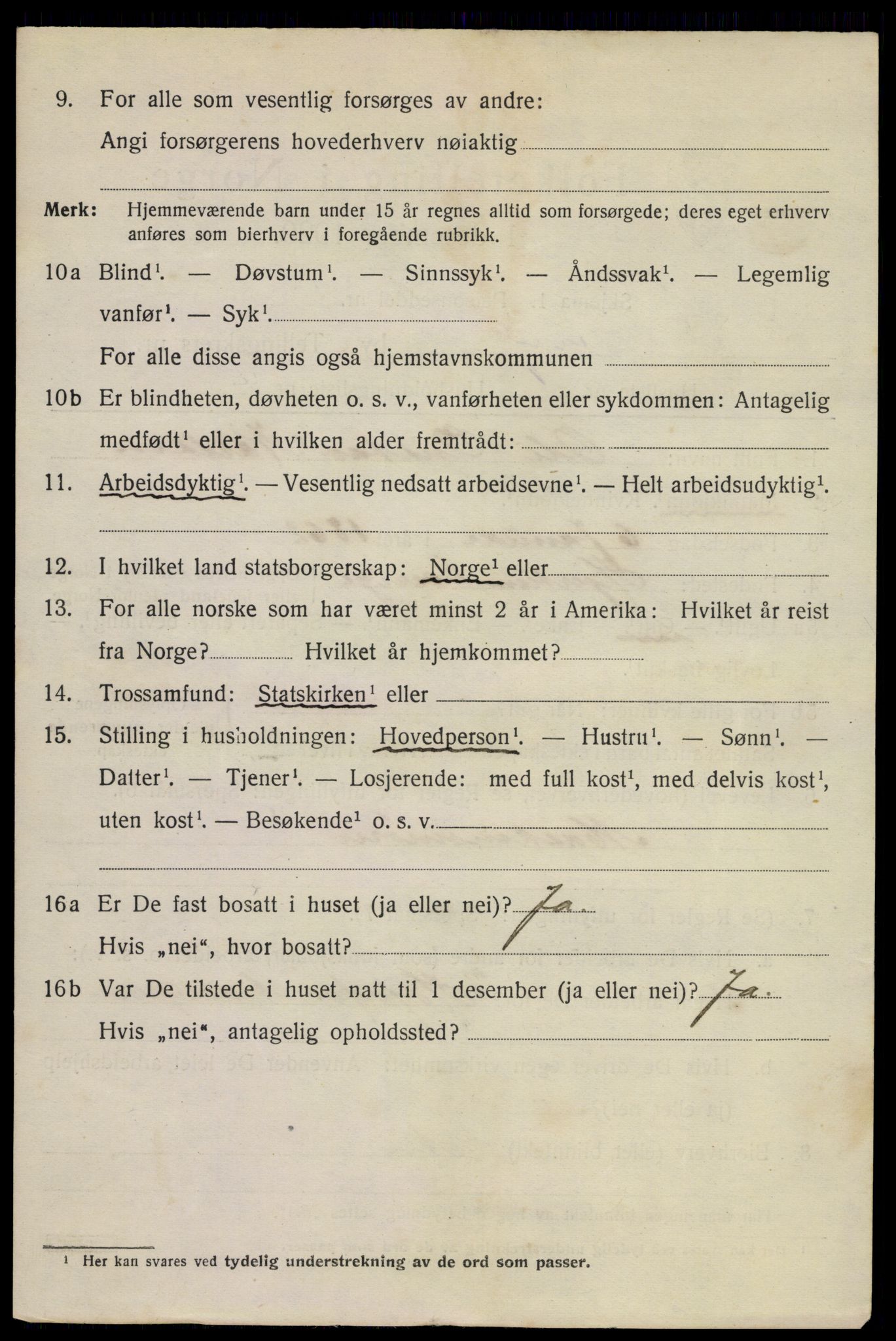 SAKO, 1920 census for Hønefoss, 1920, p. 6993