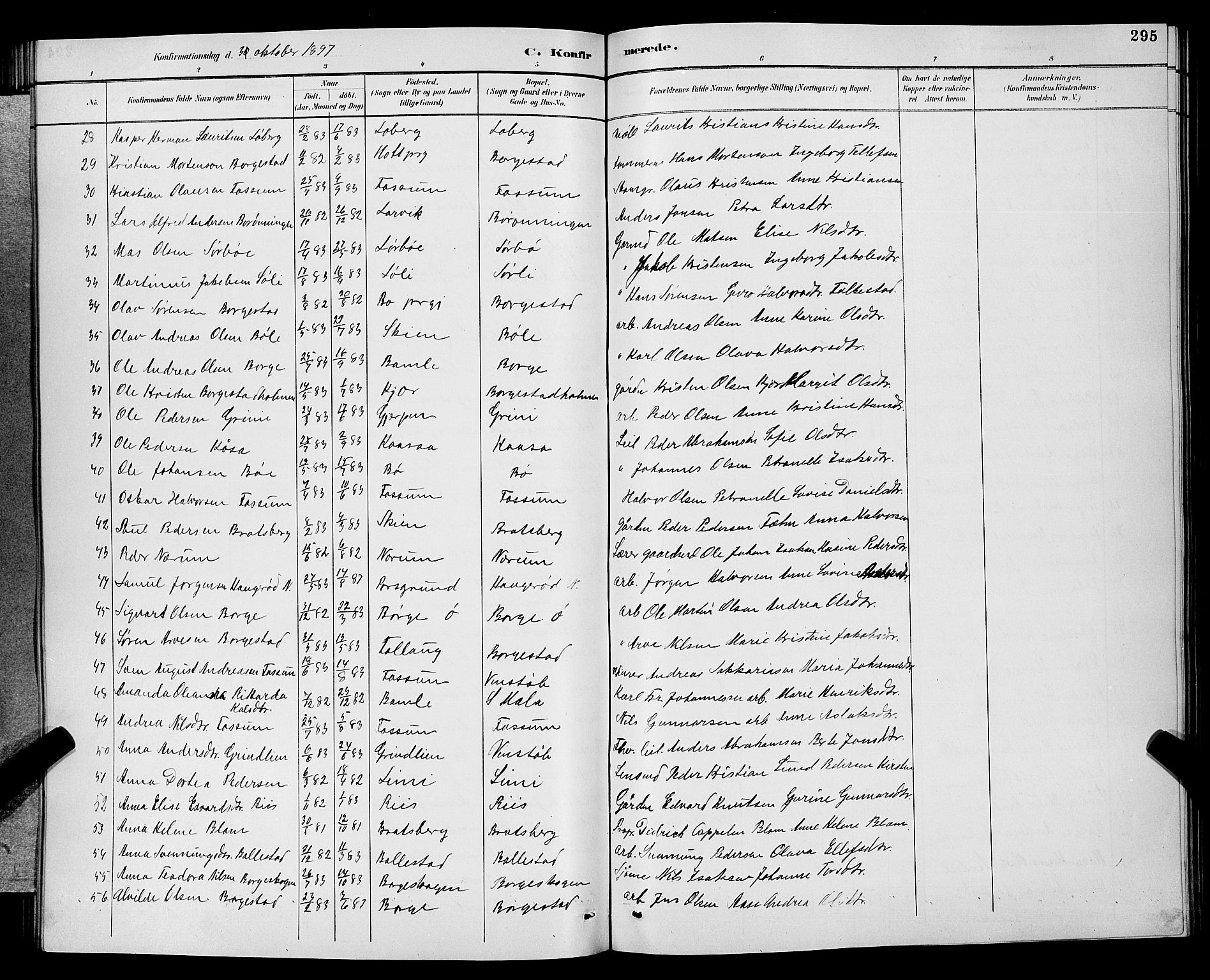 Gjerpen kirkebøker, SAKO/A-265/G/Ga/L0002: Parish register (copy) no. I 2, 1883-1900, p. 295