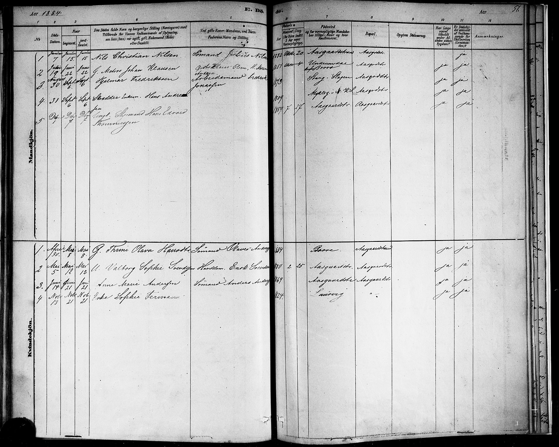 Borre kirkebøker, AV/SAKO-A-338/F/Fb/L0001: Parish register (official) no. II 1, 1878-1892, p. 56