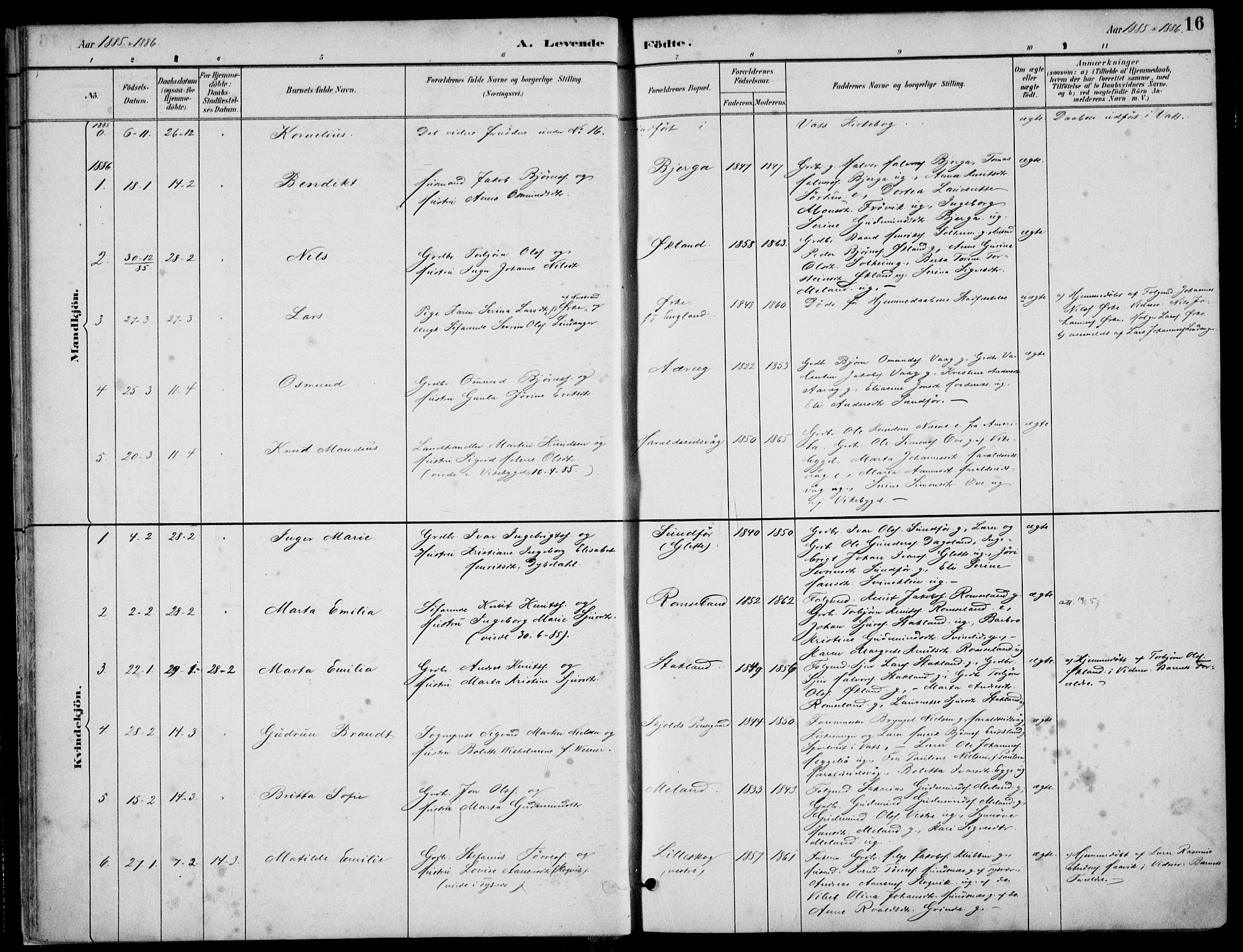 Skjold sokneprestkontor, SAST/A-101847/H/Ha/Haa/L0010: Parish register (official) no. A 10, 1882-1897, p. 16