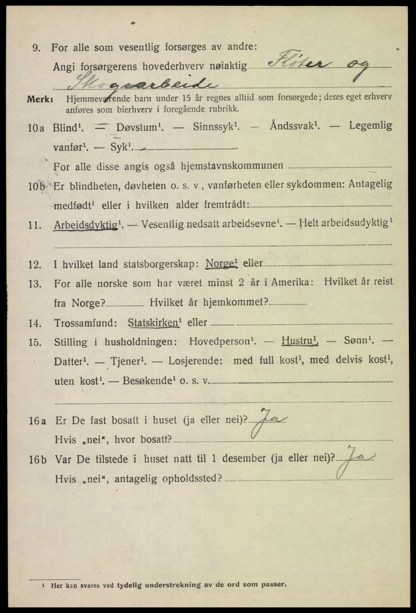 SAH, 1920 census for Sør-Odal, 1920, p. 17006