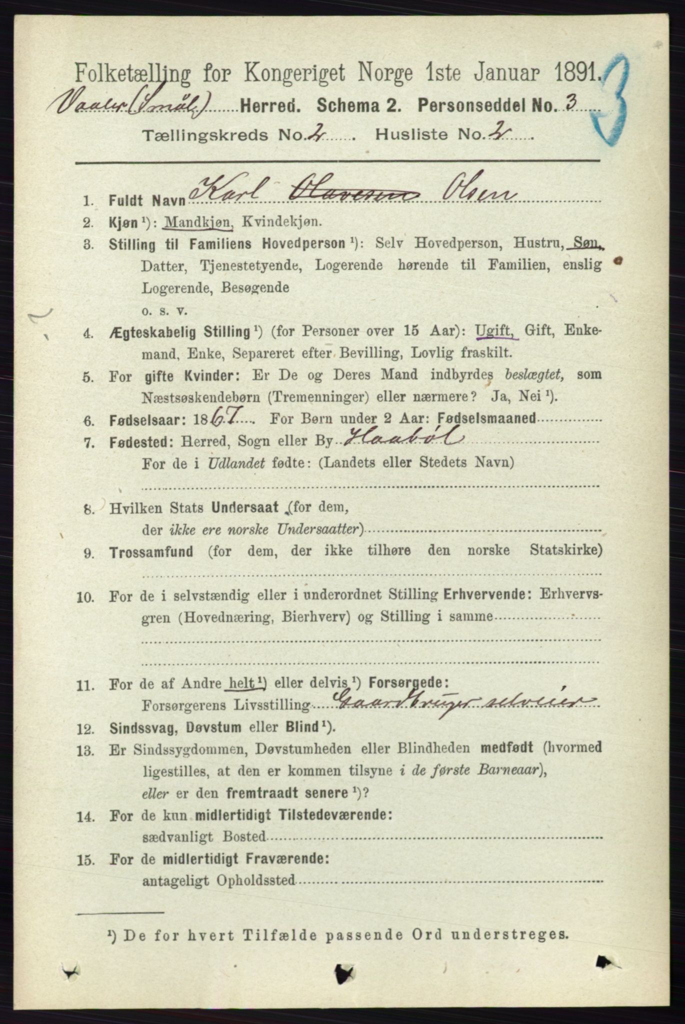 RA, 1891 census for 0137 Våler, 1891, p. 694