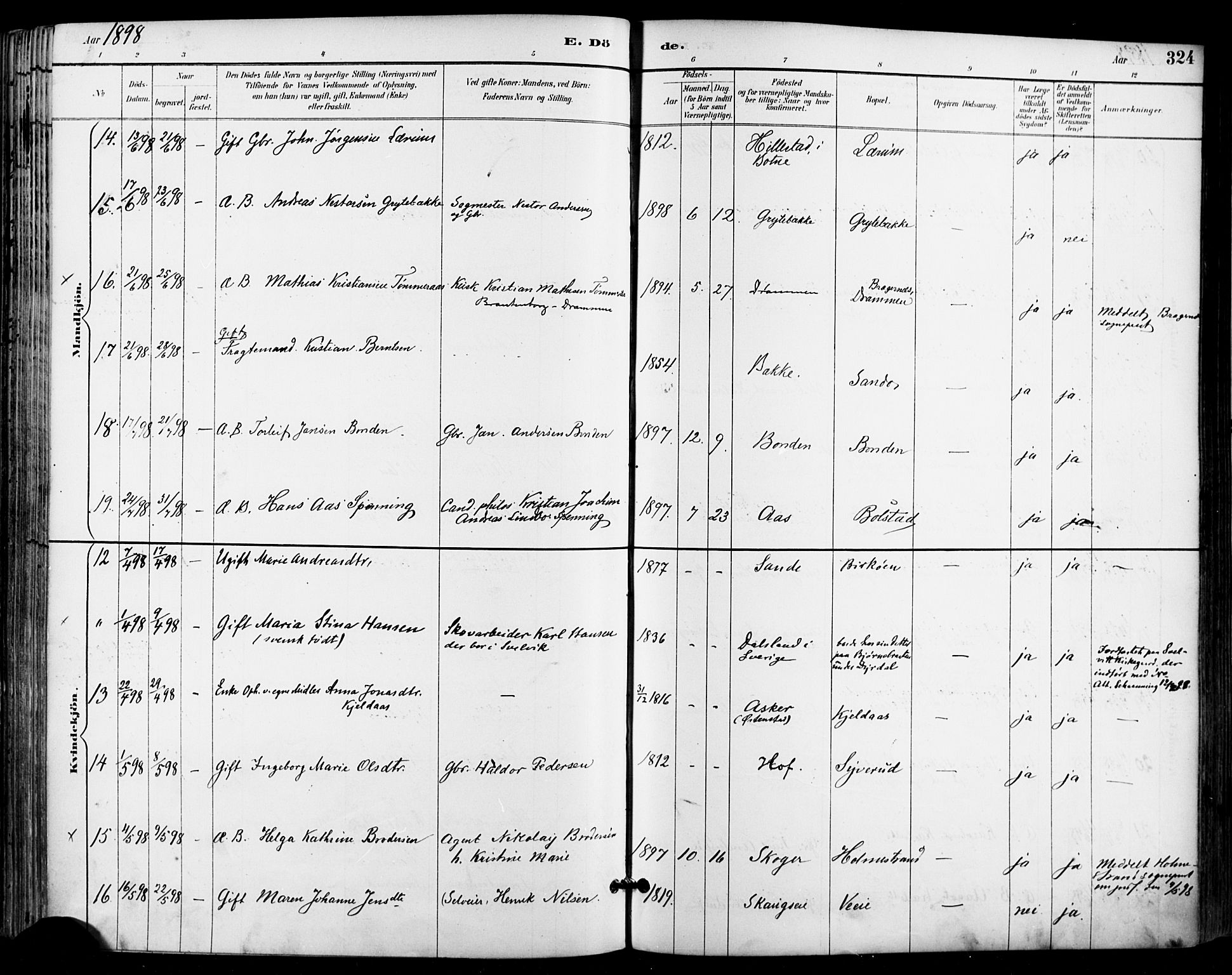 Sande Kirkebøker, SAKO/A-53/F/Fa/L0007: Parish register (official) no. 7, 1888-1903, p. 324