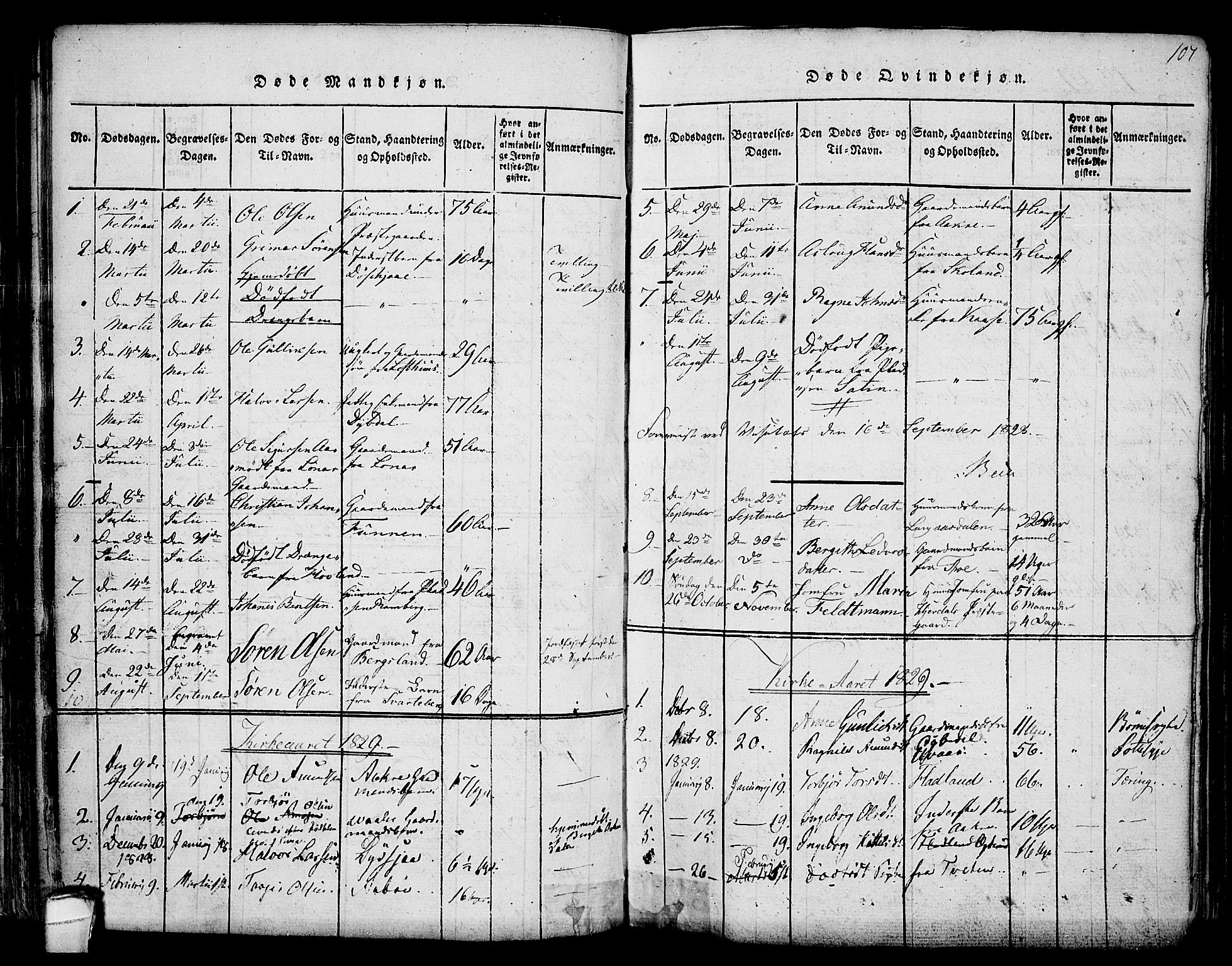 Hjartdal kirkebøker, SAKO/A-270/F/Fa/L0007: Parish register (official) no. I 7, 1815-1843, p. 107