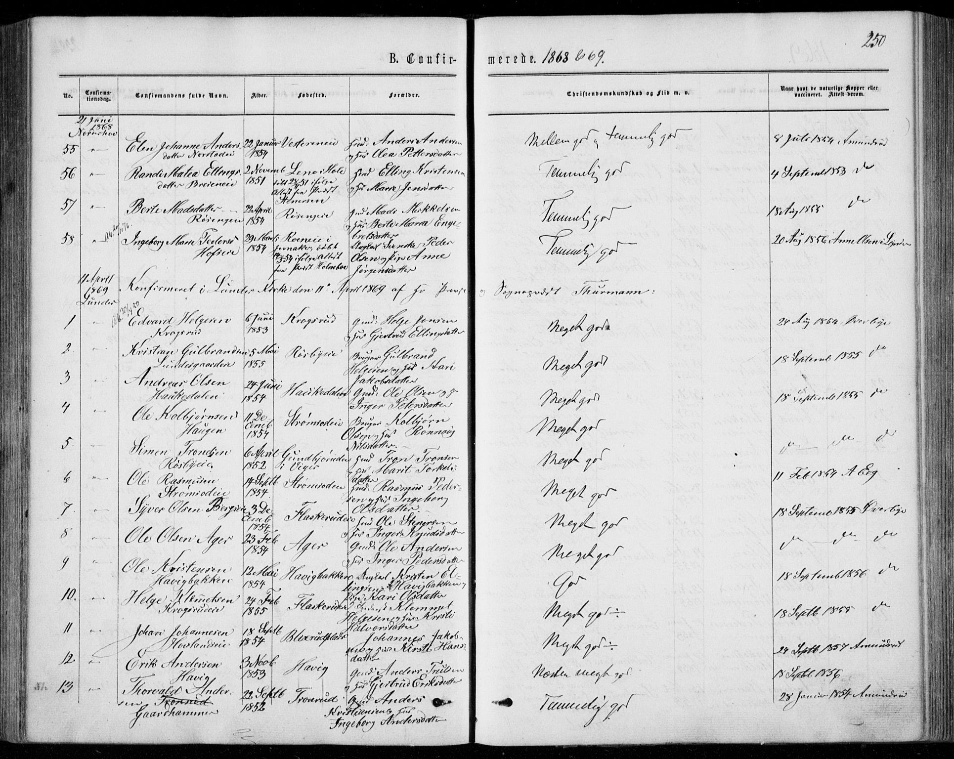 Norderhov kirkebøker, SAKO/A-237/F/Fa/L0013: Parish register (official) no. 13, 1866-1874, p. 250