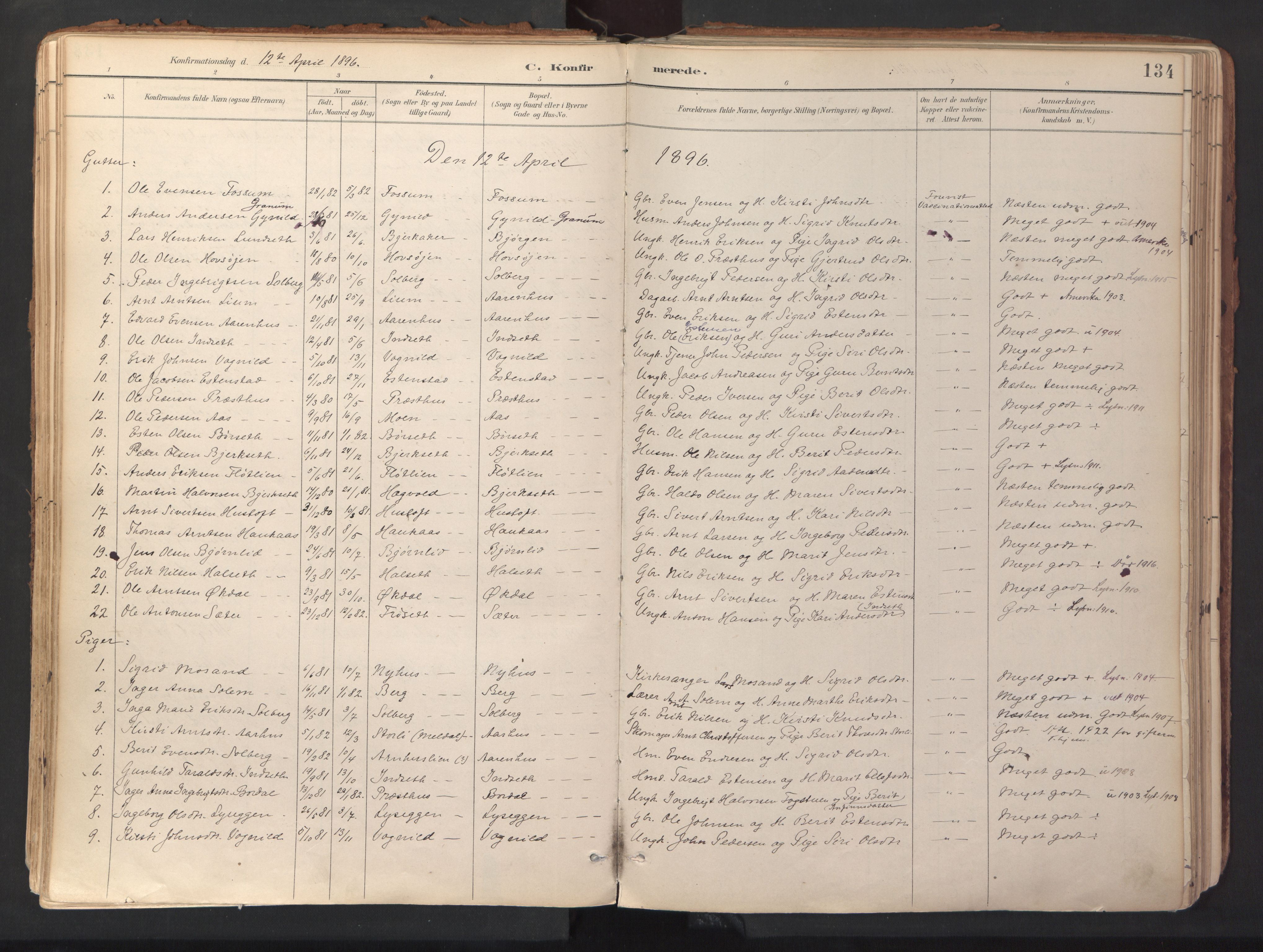 Ministerialprotokoller, klokkerbøker og fødselsregistre - Sør-Trøndelag, SAT/A-1456/689/L1041: Parish register (official) no. 689A06, 1891-1923, p. 134