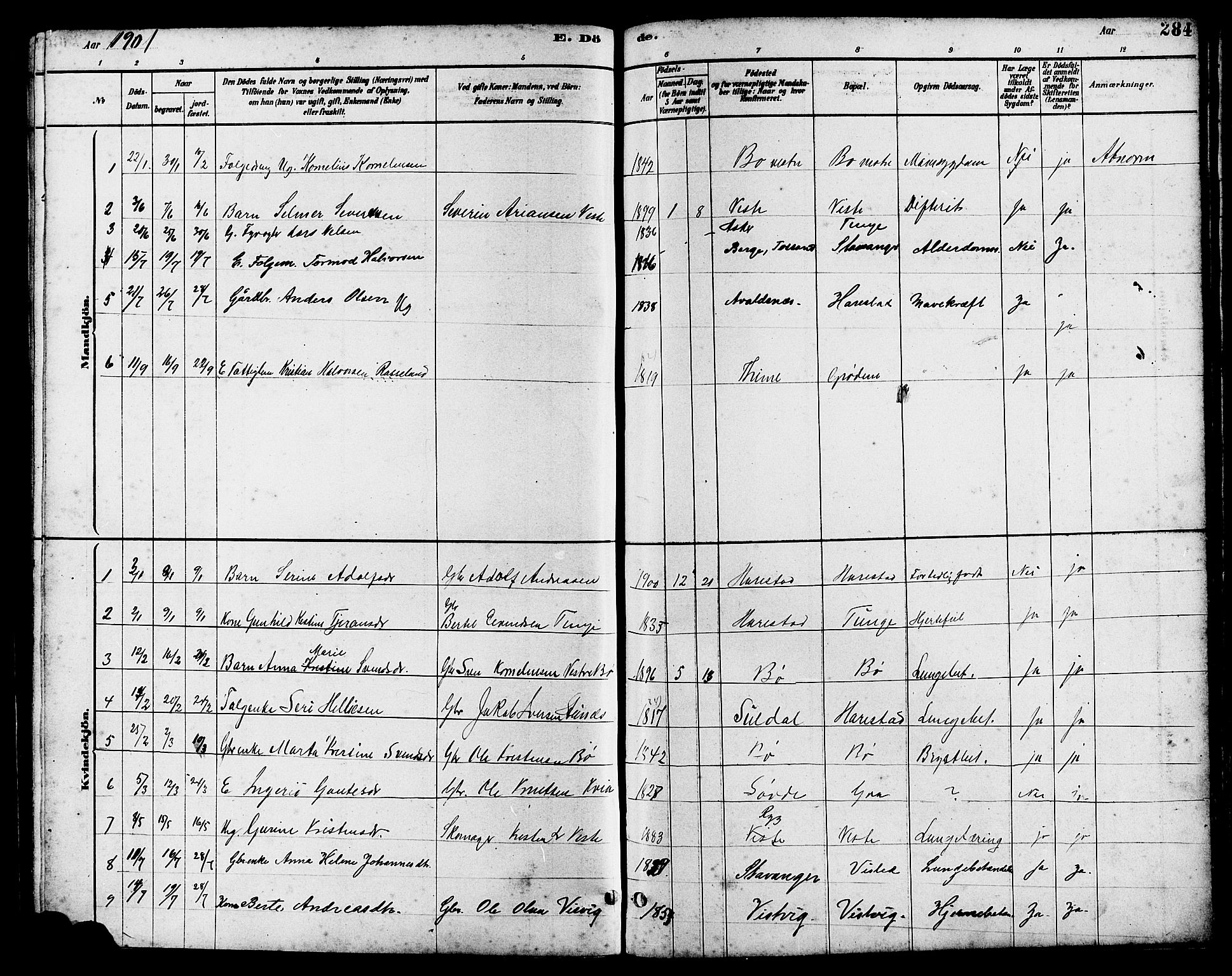 Hetland sokneprestkontor, SAST/A-101826/30/30BB/L0006: Parish register (copy) no. B 6, 1878-1921, p. 284