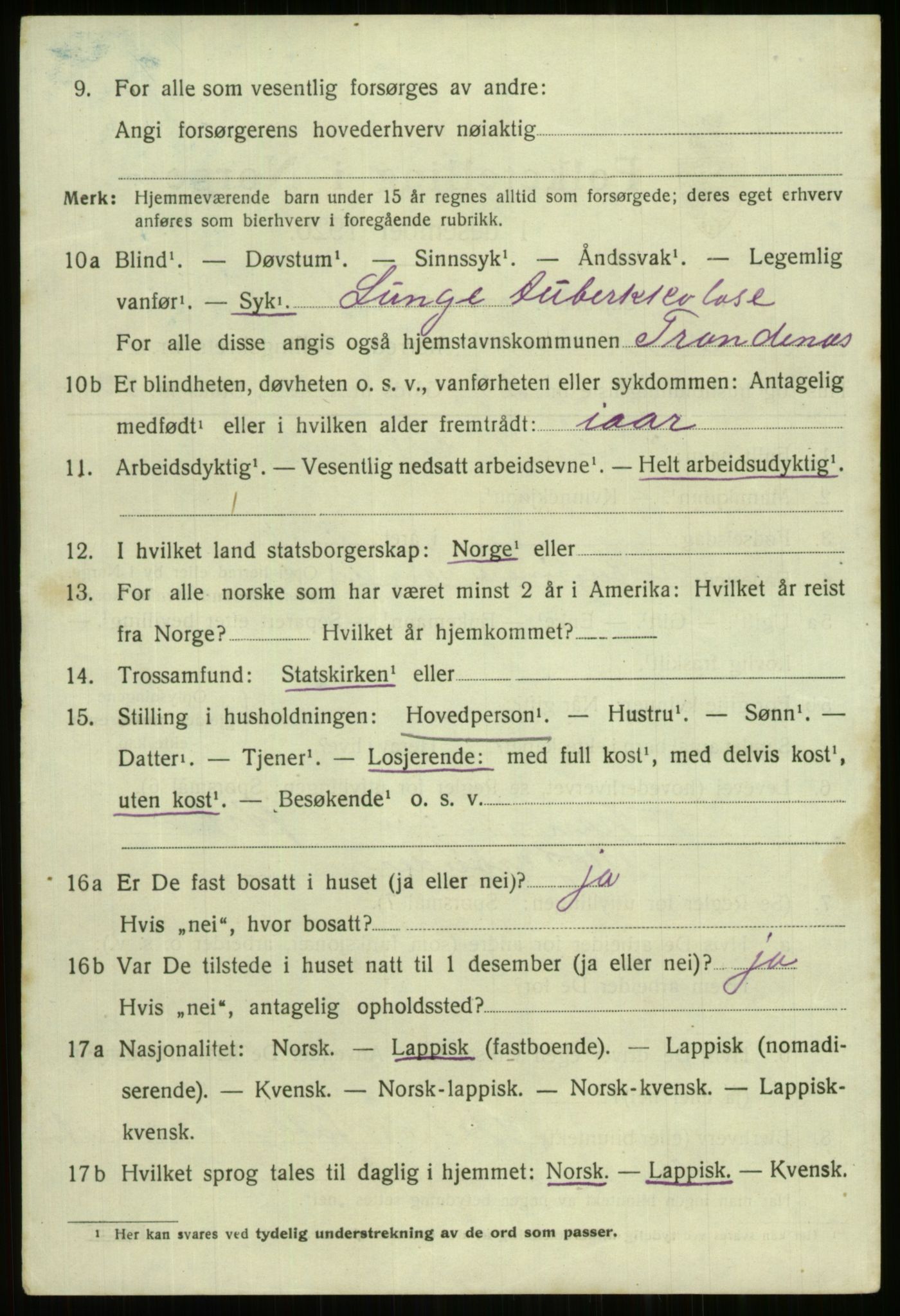 SATØ, 1920 census for Trondenes, 1920, p. 6904