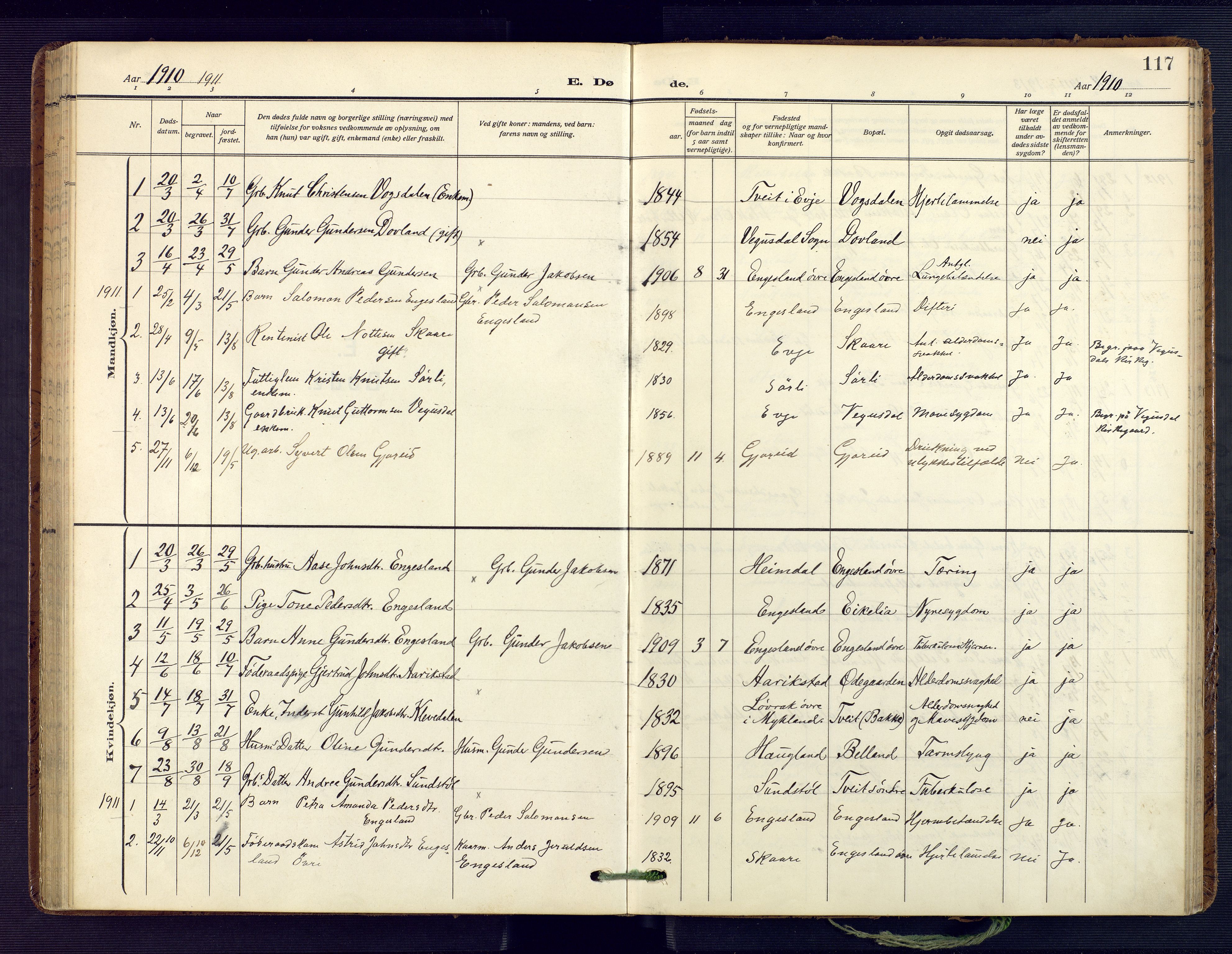 Herefoss sokneprestkontor, SAK/1111-0019/F/Fa/Fab/L0005: Parish register (official) no. A 5, 1910-1932, p. 117