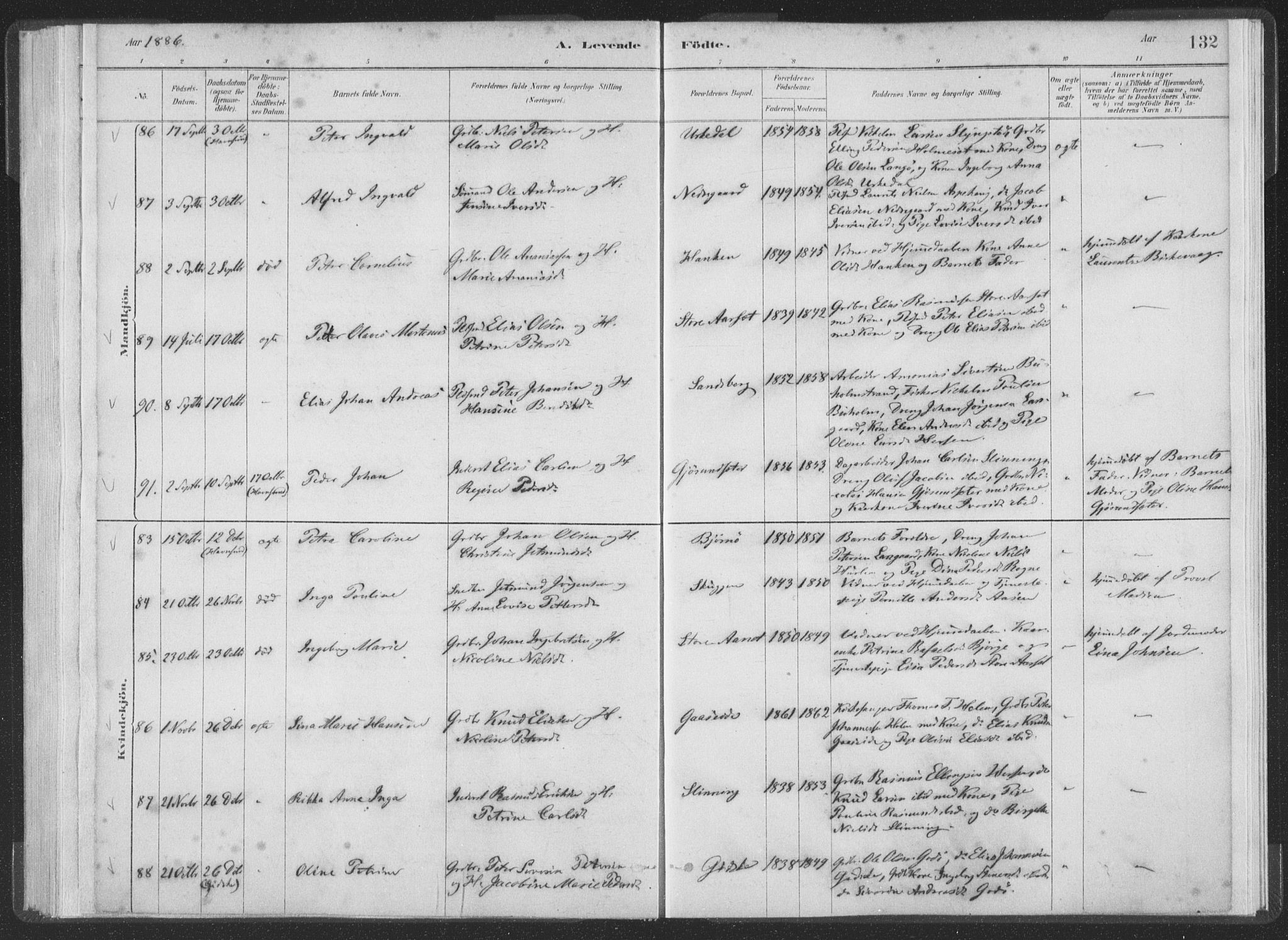 Ministerialprotokoller, klokkerbøker og fødselsregistre - Møre og Romsdal, AV/SAT-A-1454/528/L0401: Parish register (official) no. 528A12I, 1880-1920, p. 132