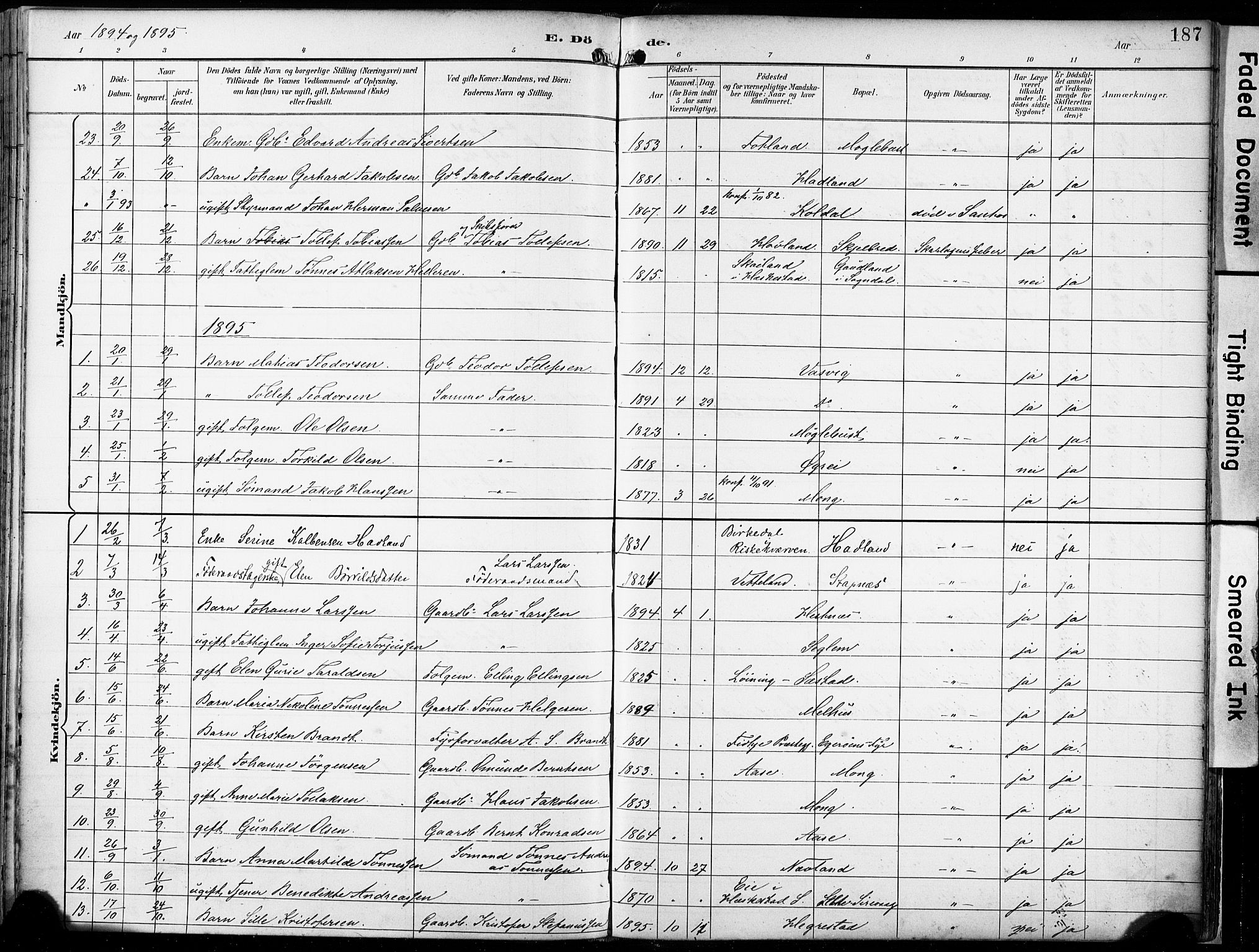 Eigersund sokneprestkontor, SAST/A-101807/S08/L0018: Parish register (official) no. A 17, 1892-1905, p. 187