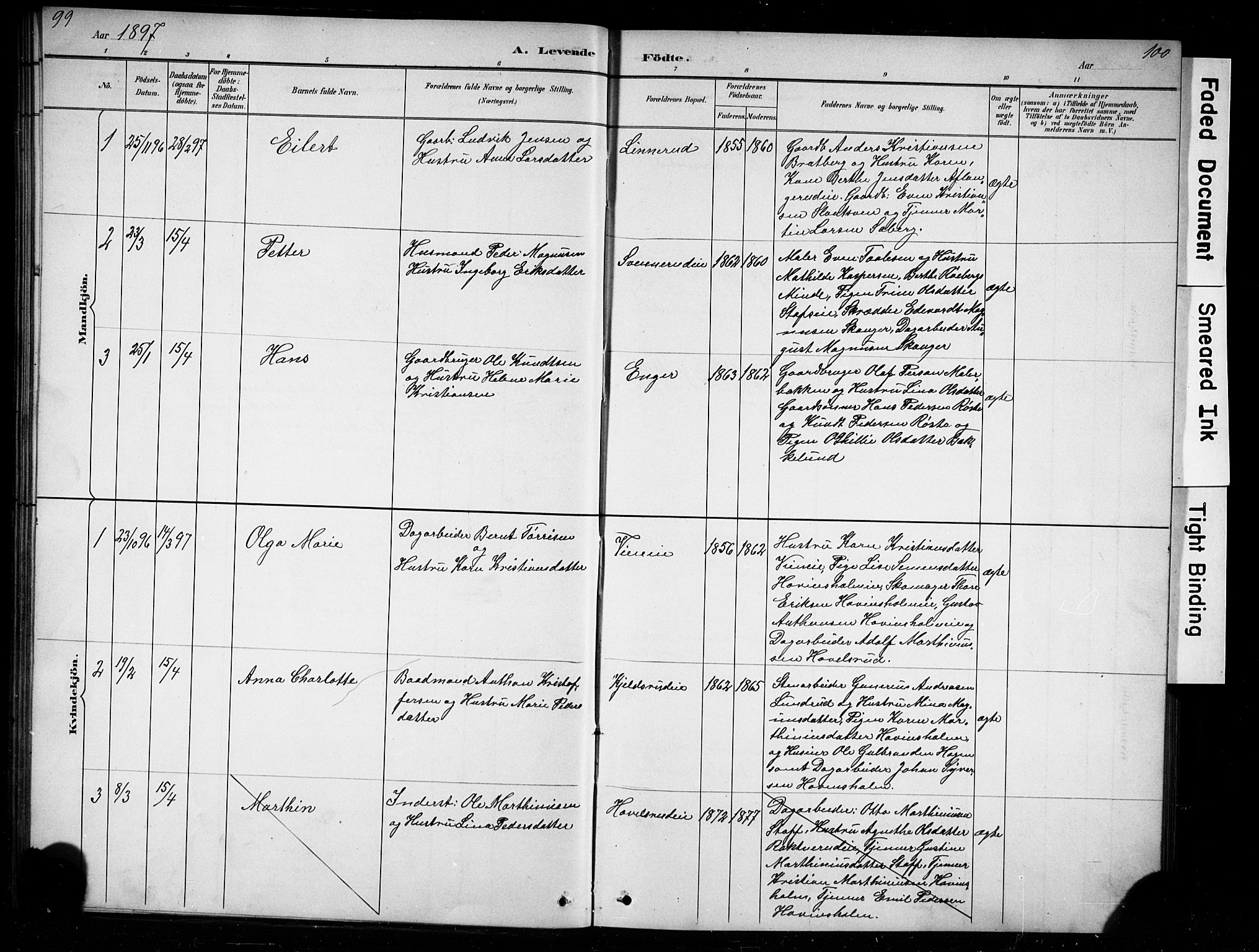 Nes prestekontor, Hedmark, AV/SAH-PREST-020/L/La/L0016: Parish register (copy) no. 16, 1883-1900, p. 99-100