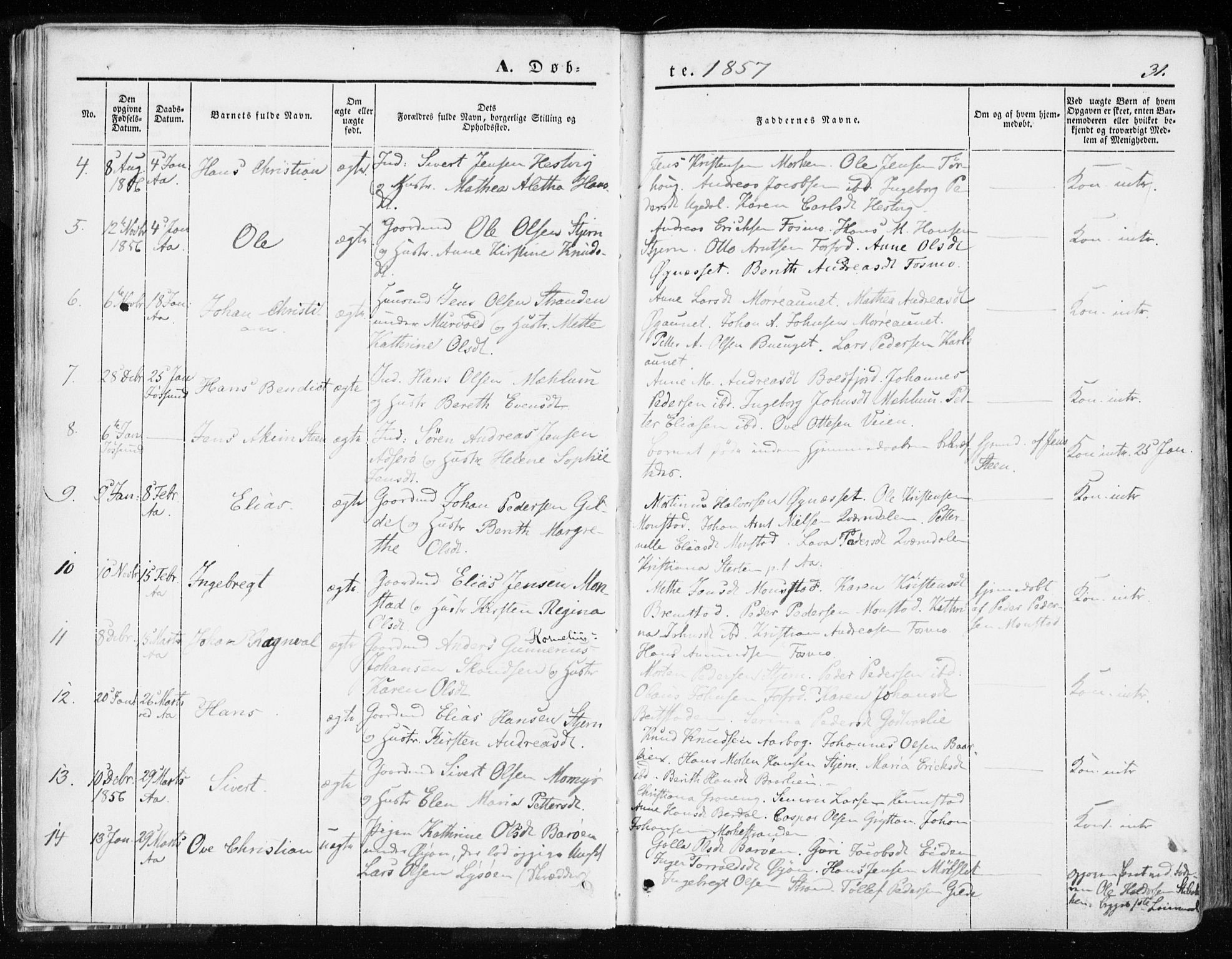 Ministerialprotokoller, klokkerbøker og fødselsregistre - Sør-Trøndelag, SAT/A-1456/655/L0677: Parish register (official) no. 655A06, 1847-1860, p. 31