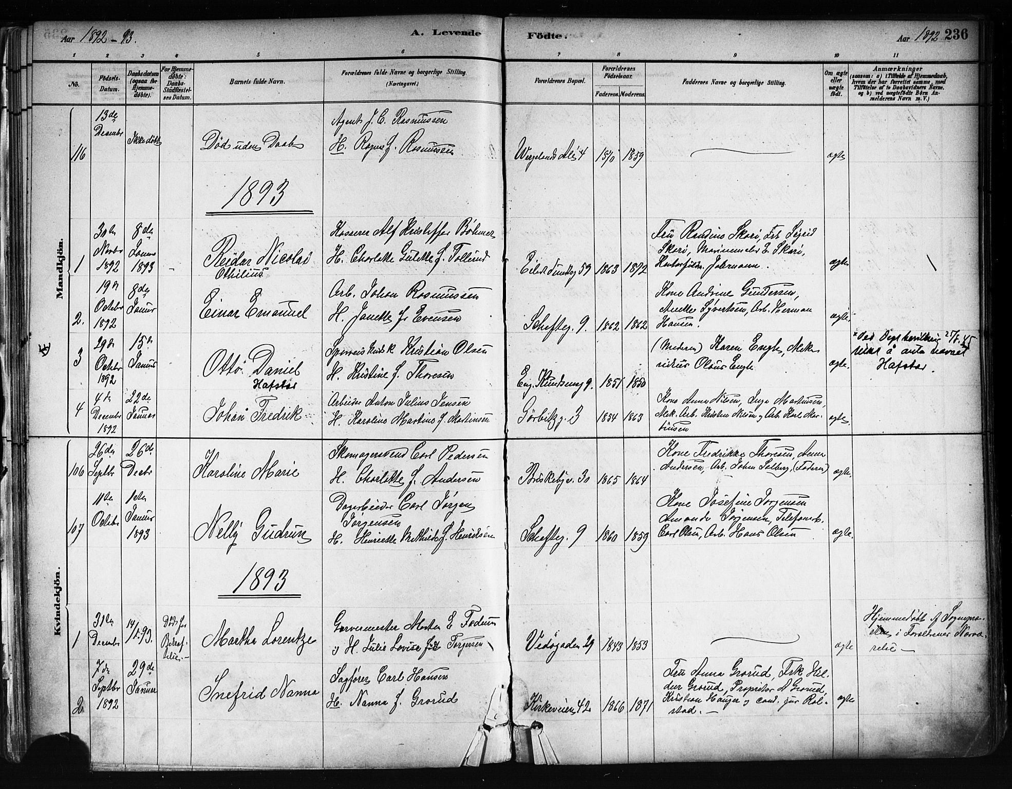 Uranienborg prestekontor Kirkebøker, SAO/A-10877/F/Fa/L0001: Parish register (official) no. 1, 1880-1895, p. 236