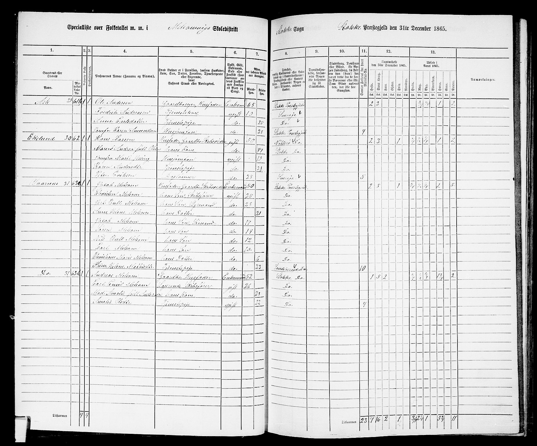 RA, 1865 census for Stokke, 1865, p. 52