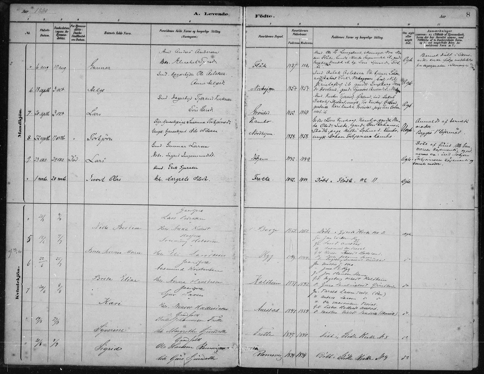 Etne sokneprestembete, AV/SAB-A-75001/H/Haa: Parish register (official) no. D  1, 1879-1919, p. 8
