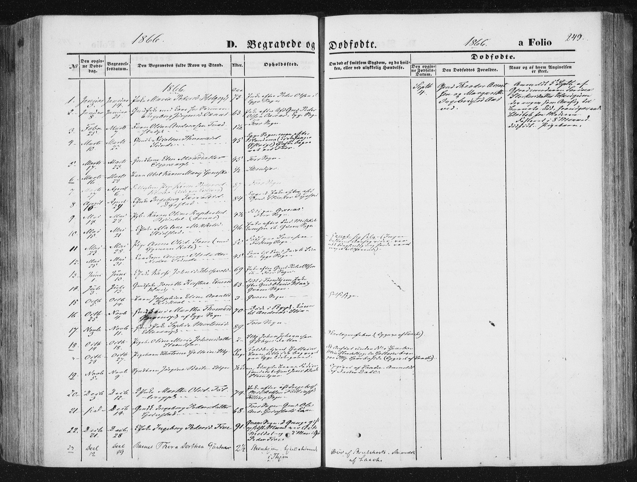 Ministerialprotokoller, klokkerbøker og fødselsregistre - Nord-Trøndelag, SAT/A-1458/746/L0447: Parish register (official) no. 746A06, 1860-1877, p. 249