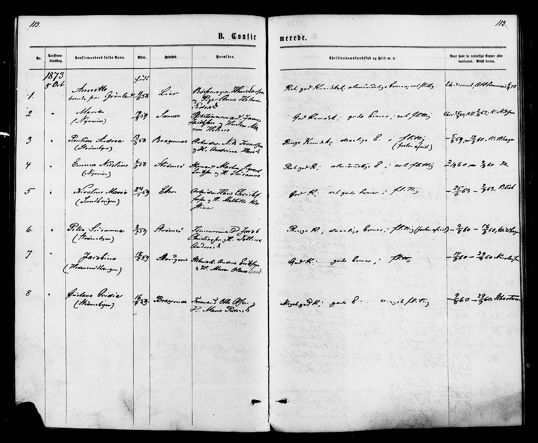 Strømsø kirkebøker, AV/SAKO-A-246/F/Fa/L0020: Parish register (official) no. I 20, 1870-1878, p. 113