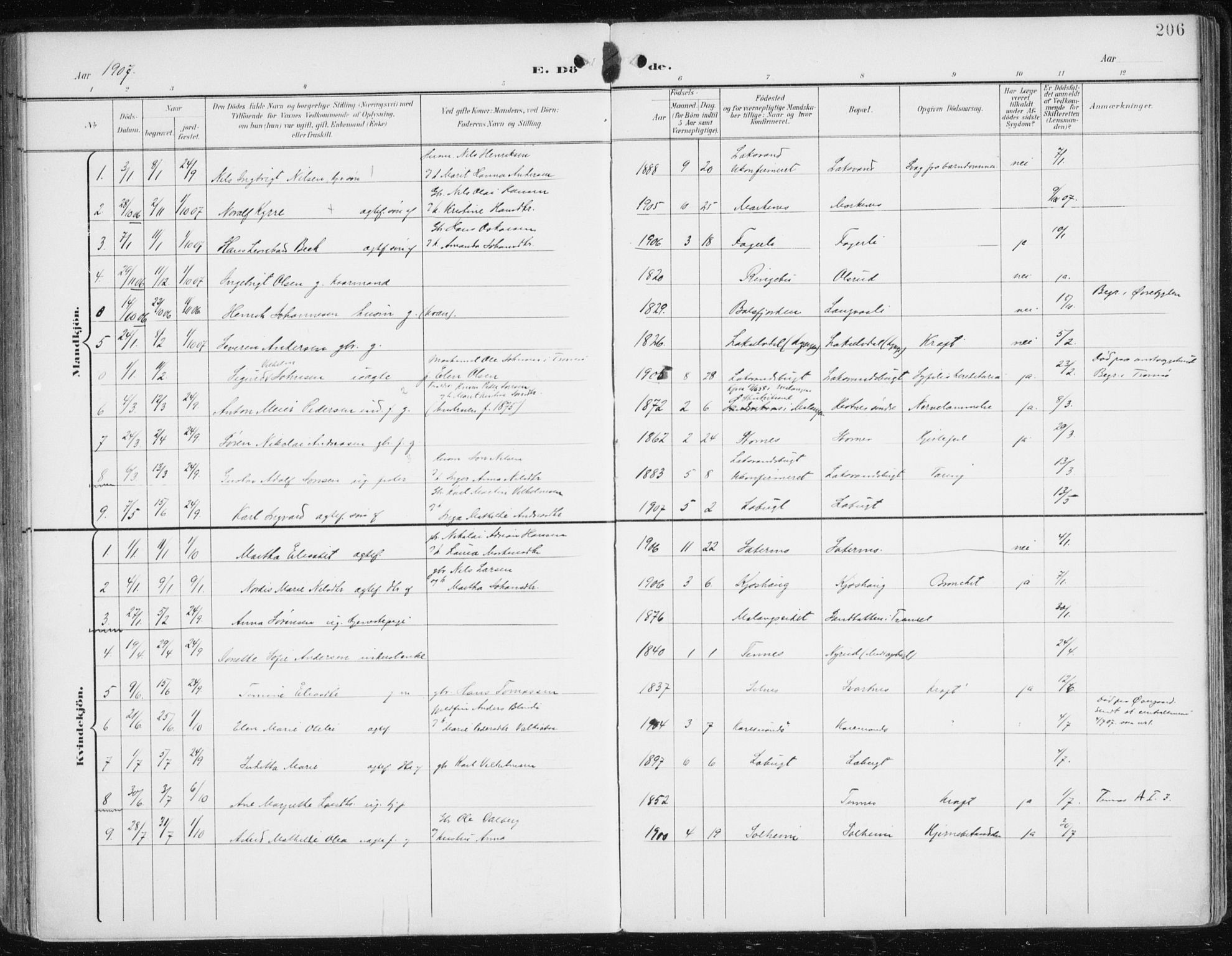 Balsfjord sokneprestembete, SATØ/S-1303/G/Ga/L0006kirke: Parish register (official) no. 6, 1897-1909, p. 206