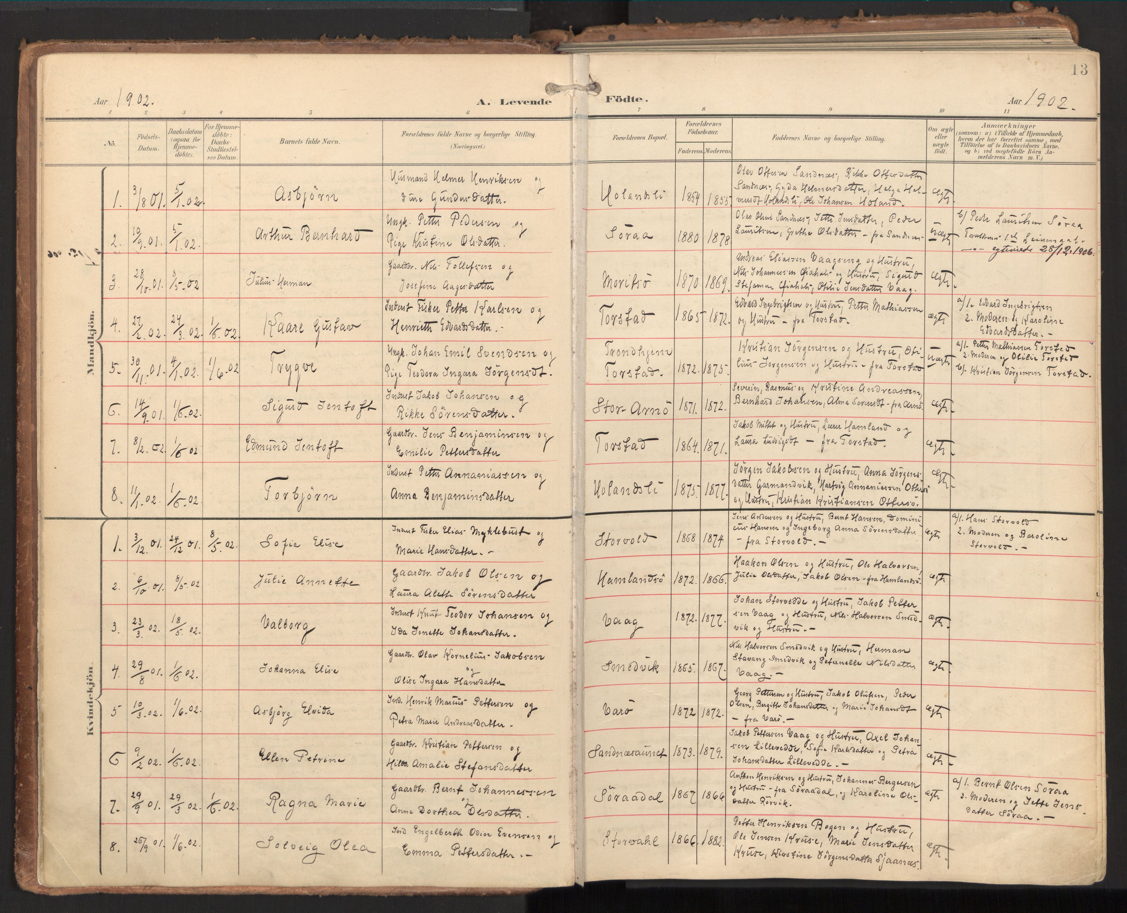 Ministerialprotokoller, klokkerbøker og fødselsregistre - Nord-Trøndelag, SAT/A-1458/784/L0677: Parish register (official) no. 784A12, 1900-1920, p. 13