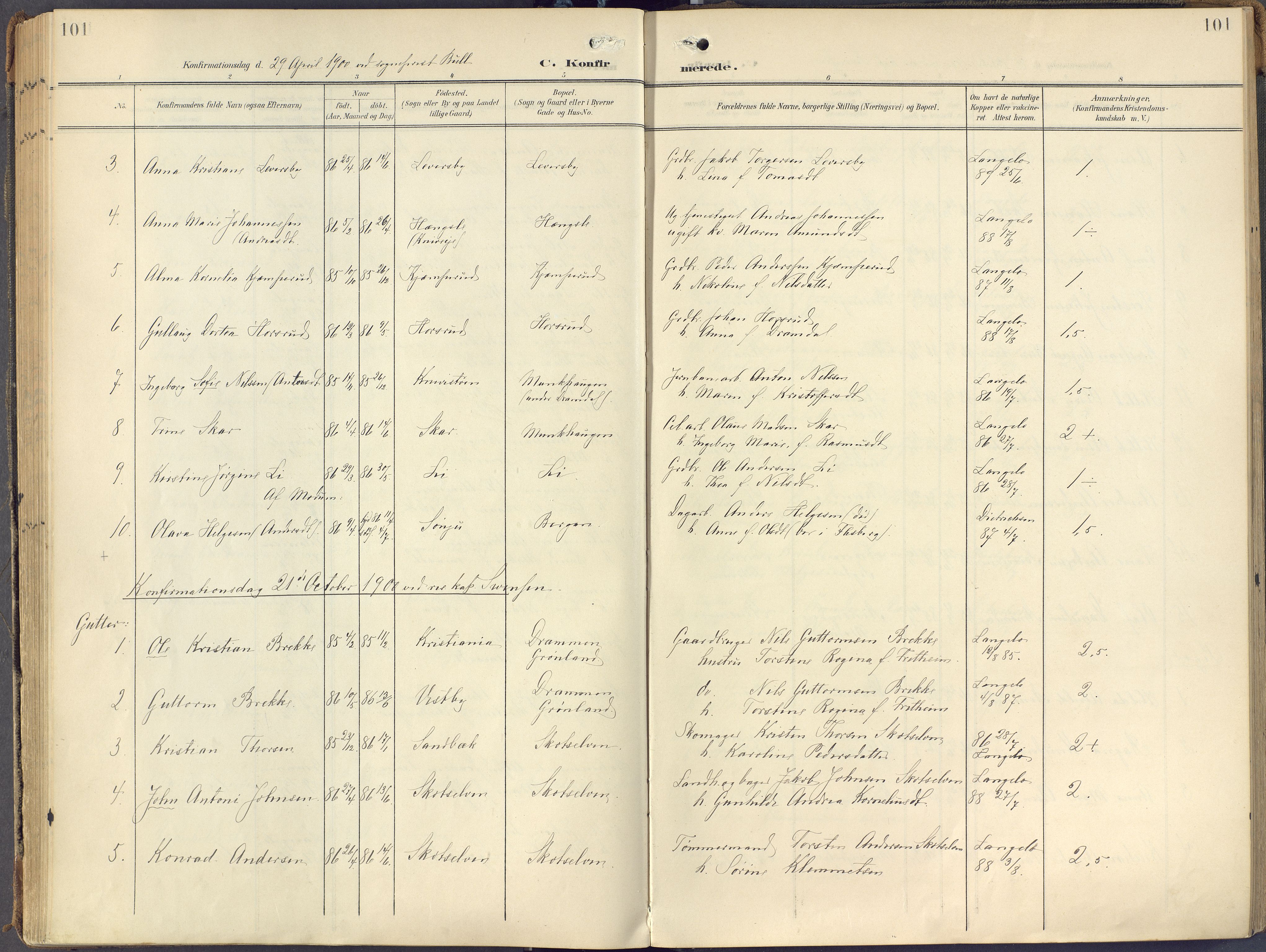 Eiker kirkebøker, AV/SAKO-A-4/F/Fc/L0004: Parish register (official) no. III 4, 1900-1919, p. 101