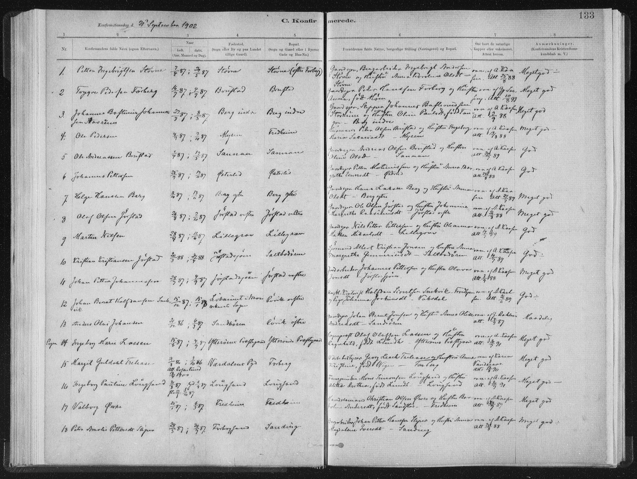 Ministerialprotokoller, klokkerbøker og fødselsregistre - Nord-Trøndelag, SAT/A-1458/722/L0220: Parish register (official) no. 722A07, 1881-1908, p. 133