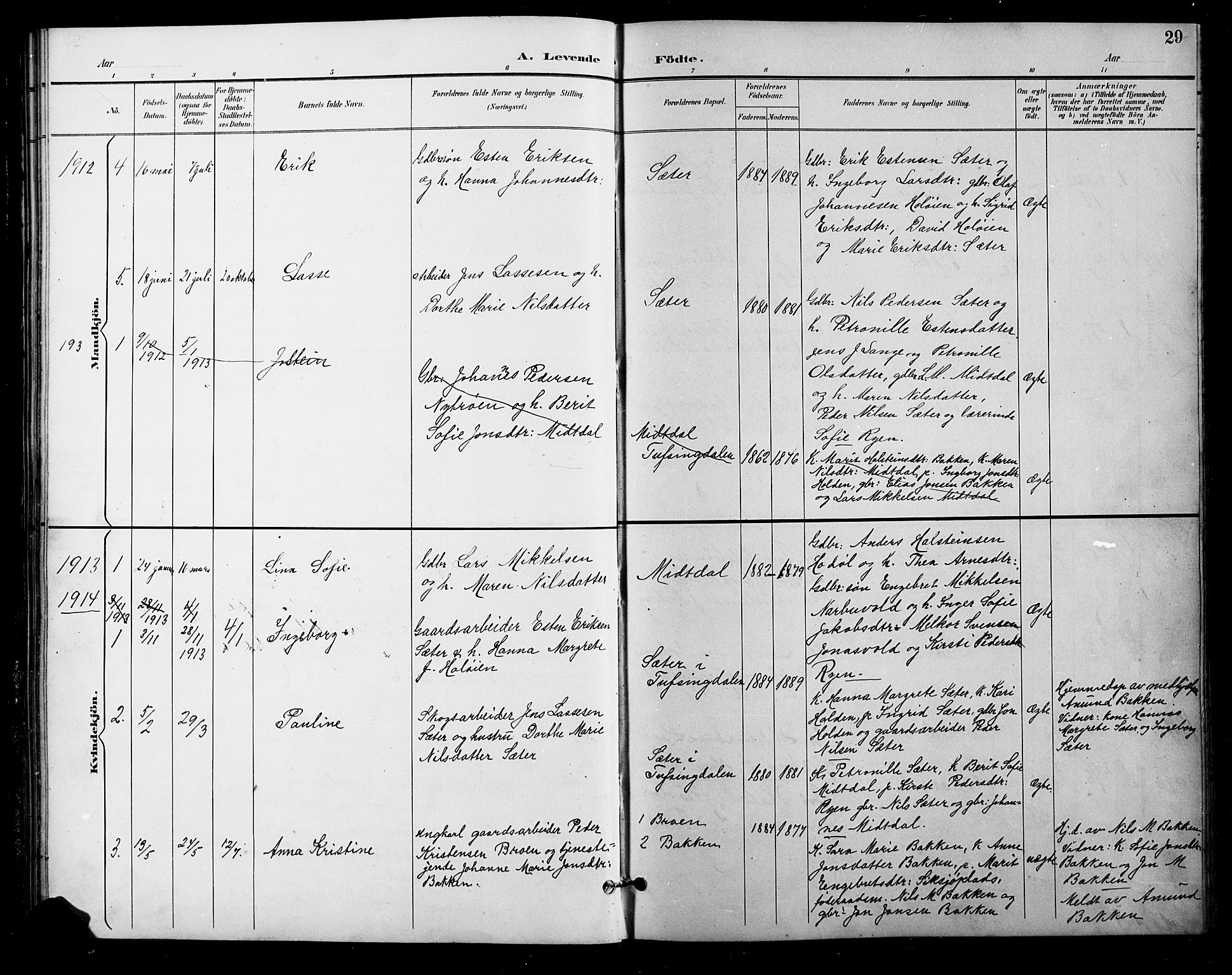 Tolga prestekontor, SAH/PREST-062/L/L0011: Parish register (copy) no. 11, 1894-1925, p. 29