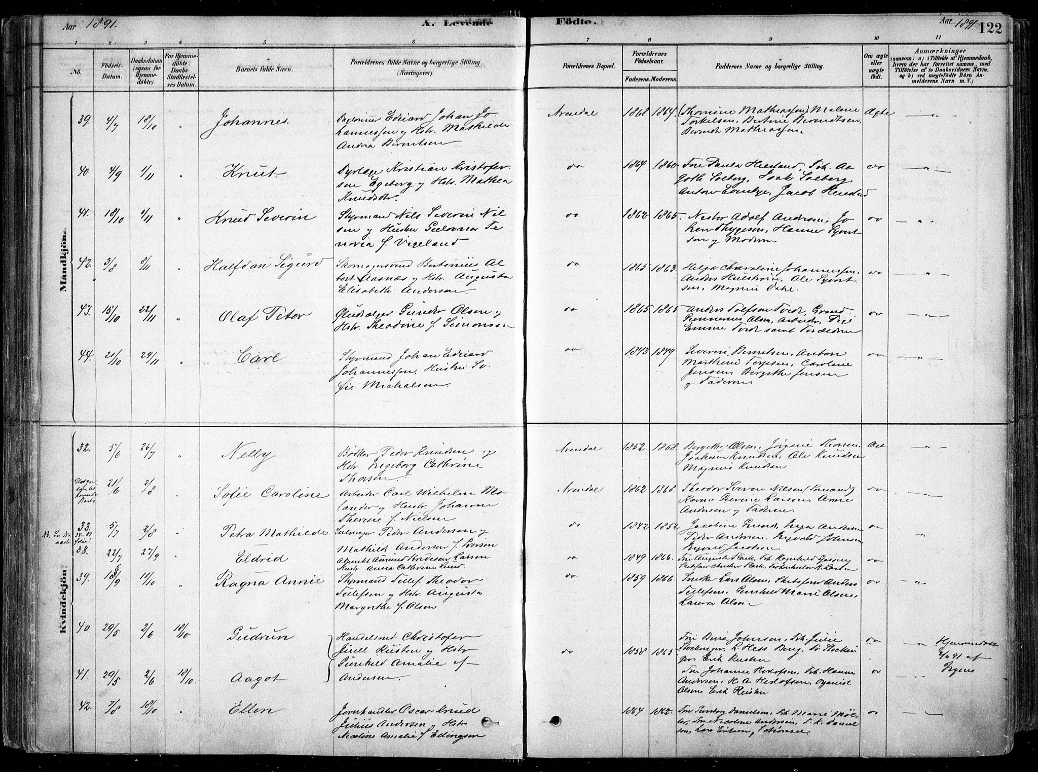 Arendal sokneprestkontor, Trefoldighet, AV/SAK-1111-0040/F/Fa/L0008: Parish register (official) no. A 8, 1878-1899, p. 122