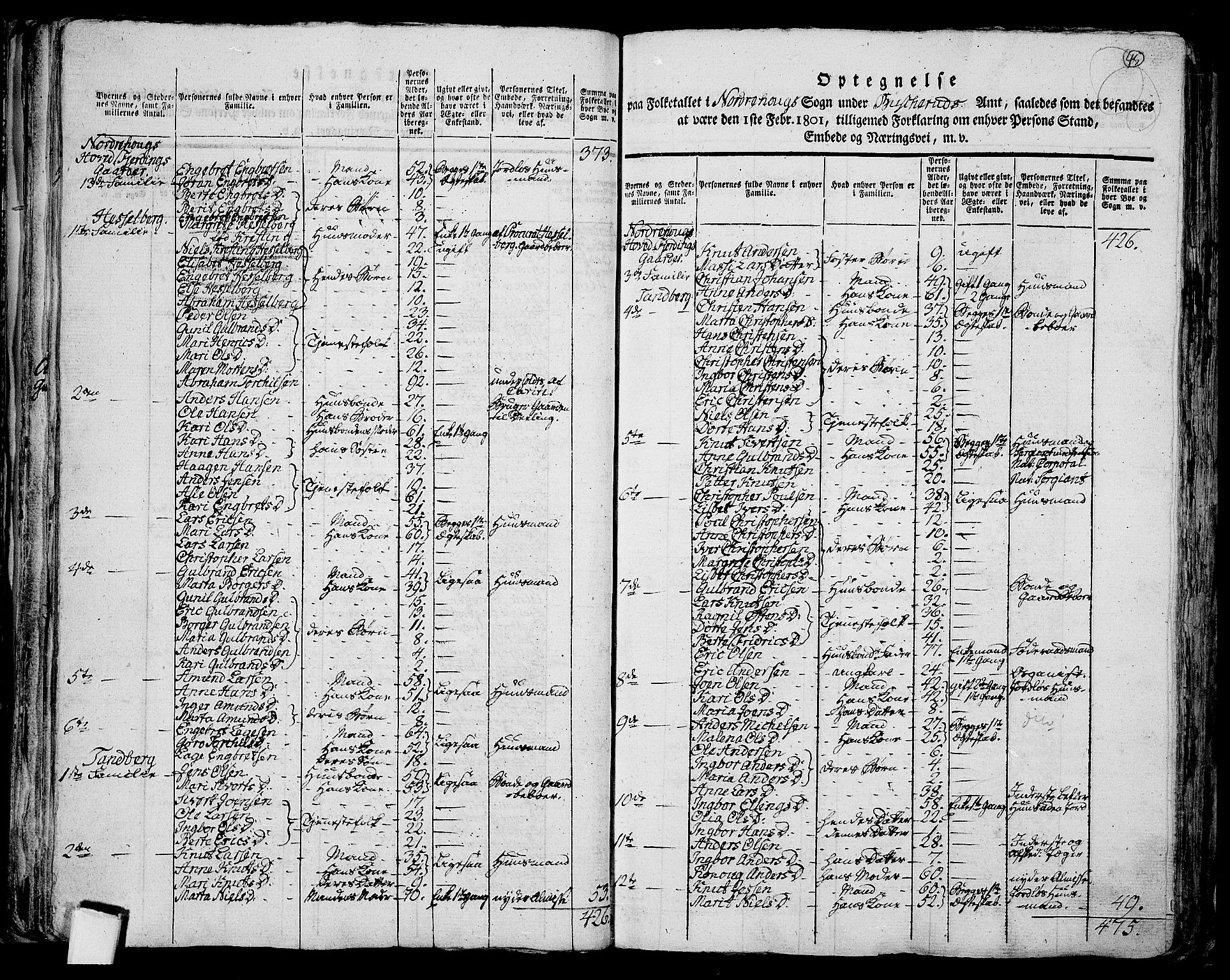 RA, 1801 census for 0613P Norderhov, 1801, p. 44b-45a