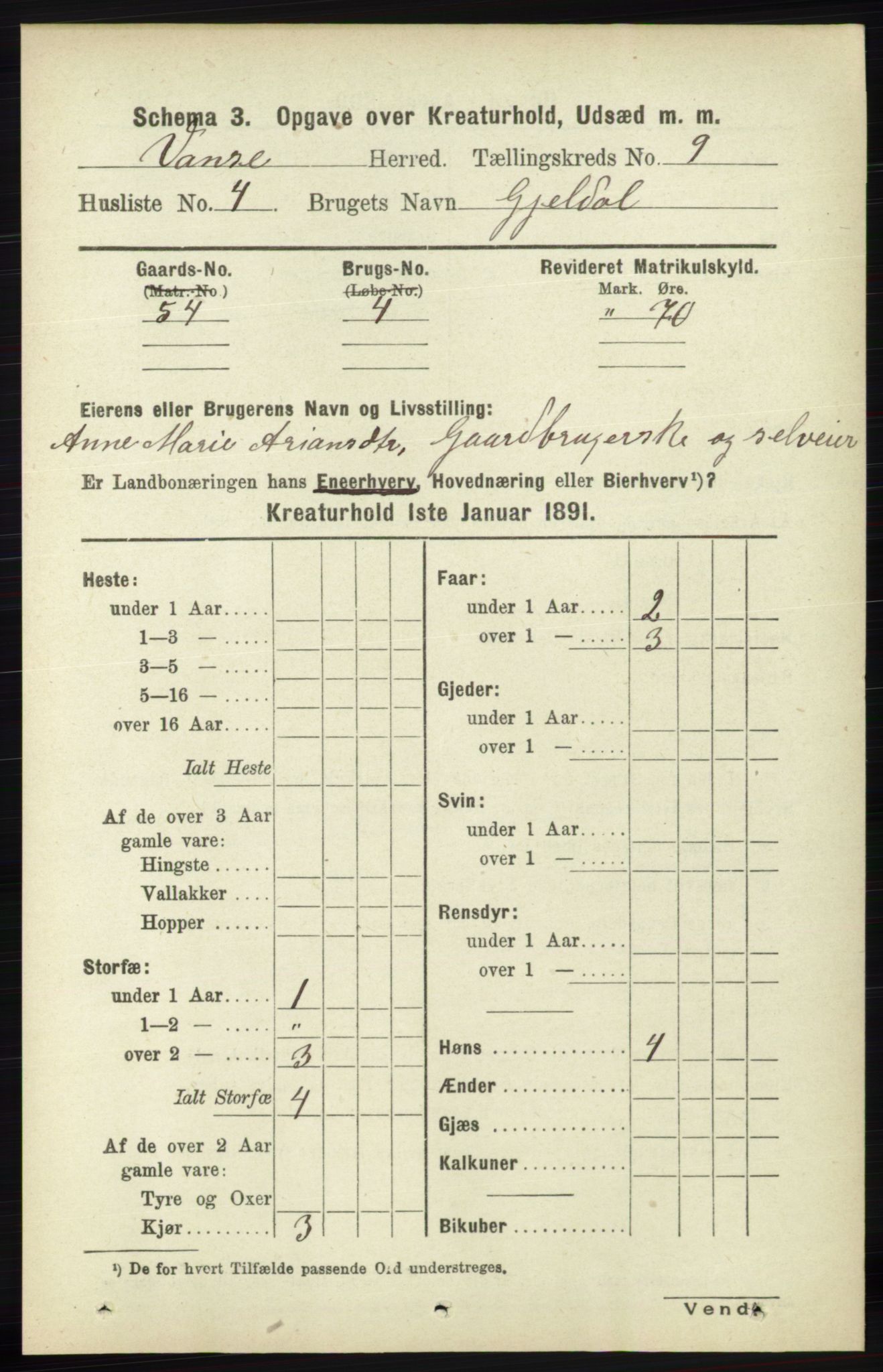 RA, 1891 census for 1041 Vanse, 1891, p. 9595