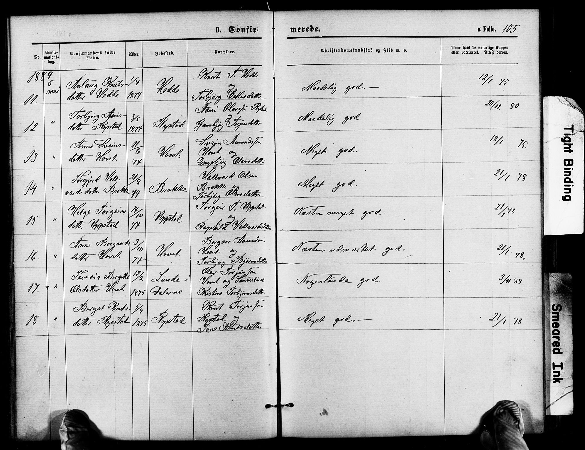 Valle sokneprestkontor, SAK/1111-0044/F/Fb/Fbb/L0002: Parish register (copy) no. B 2, 1875-1921, p. 105