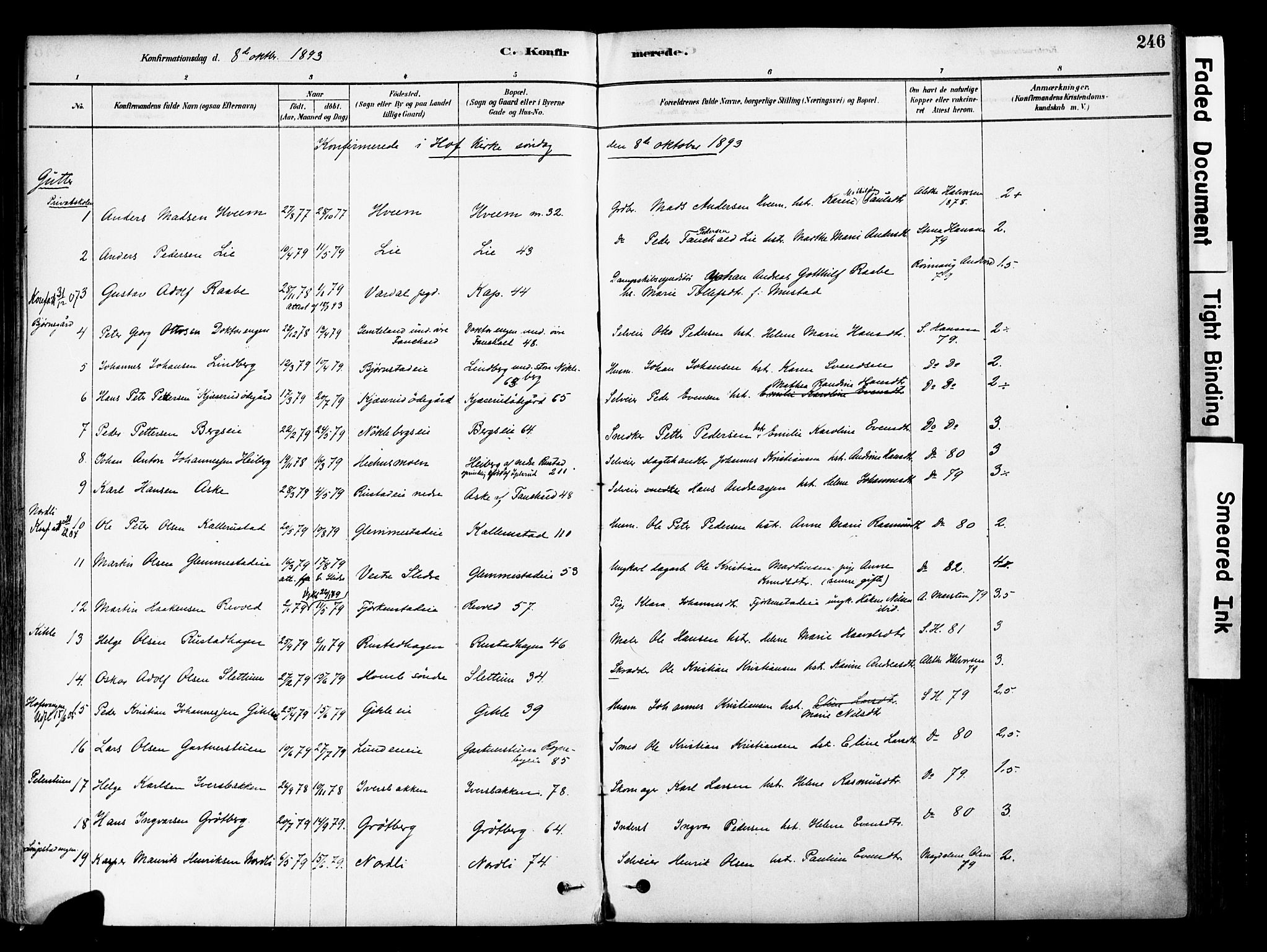 Østre Toten prestekontor, SAH/PREST-104/H/Ha/Haa/L0006: Parish register (official) no. 6 /1, 1878-1896, p. 246