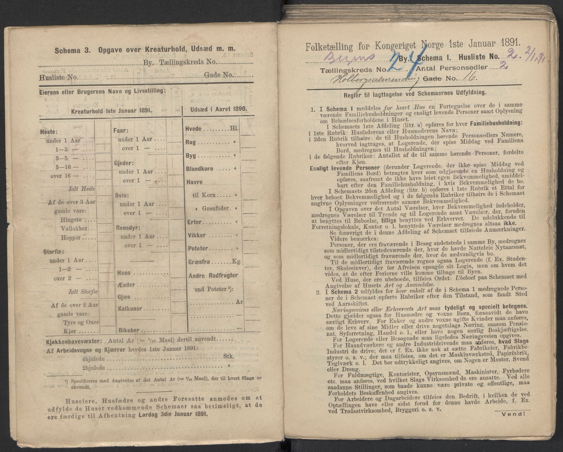 RA, 1891 Census for 1301 Bergen, 1891, p. 3787