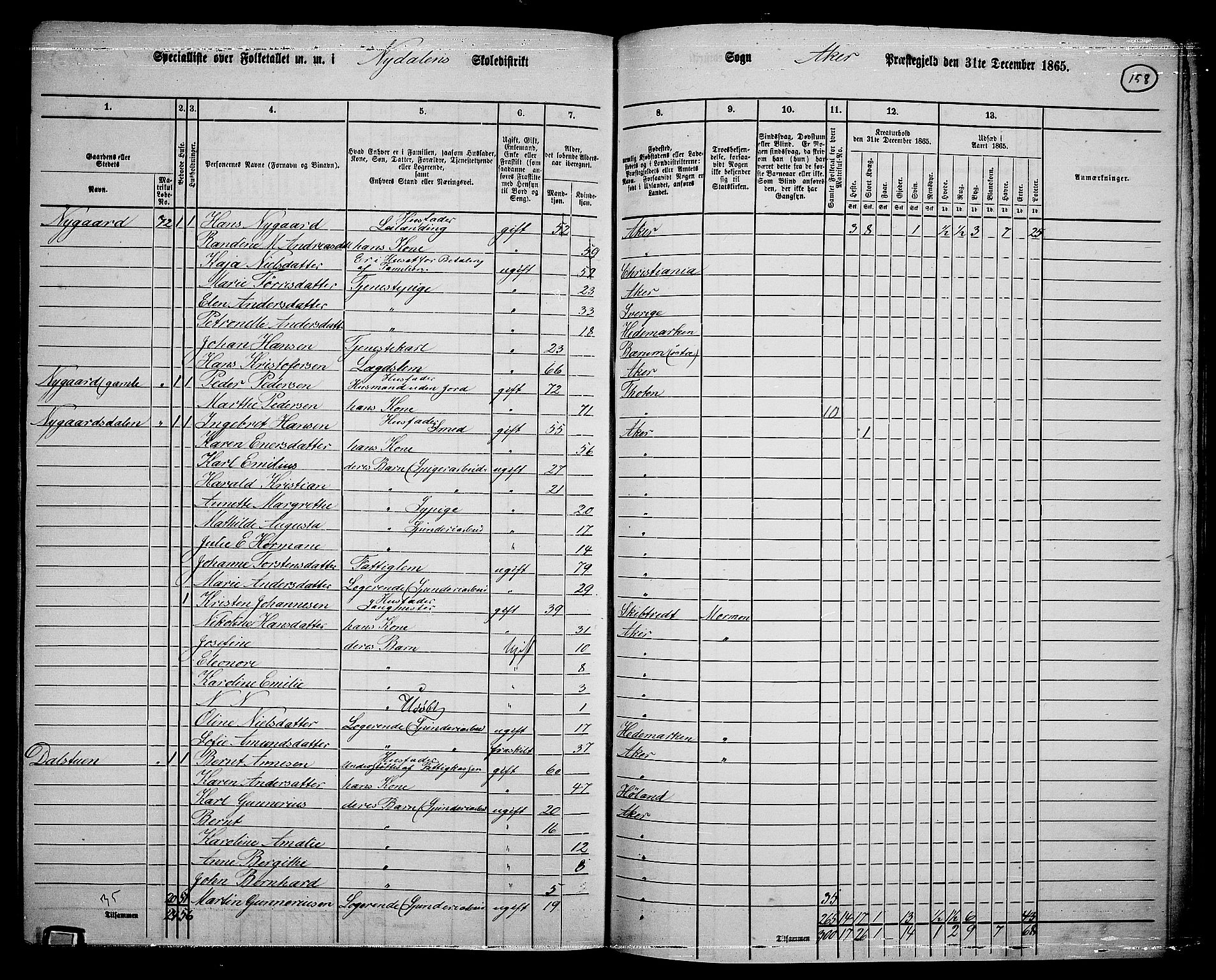 RA, 1865 census for Vestre Aker, 1865, p. 141