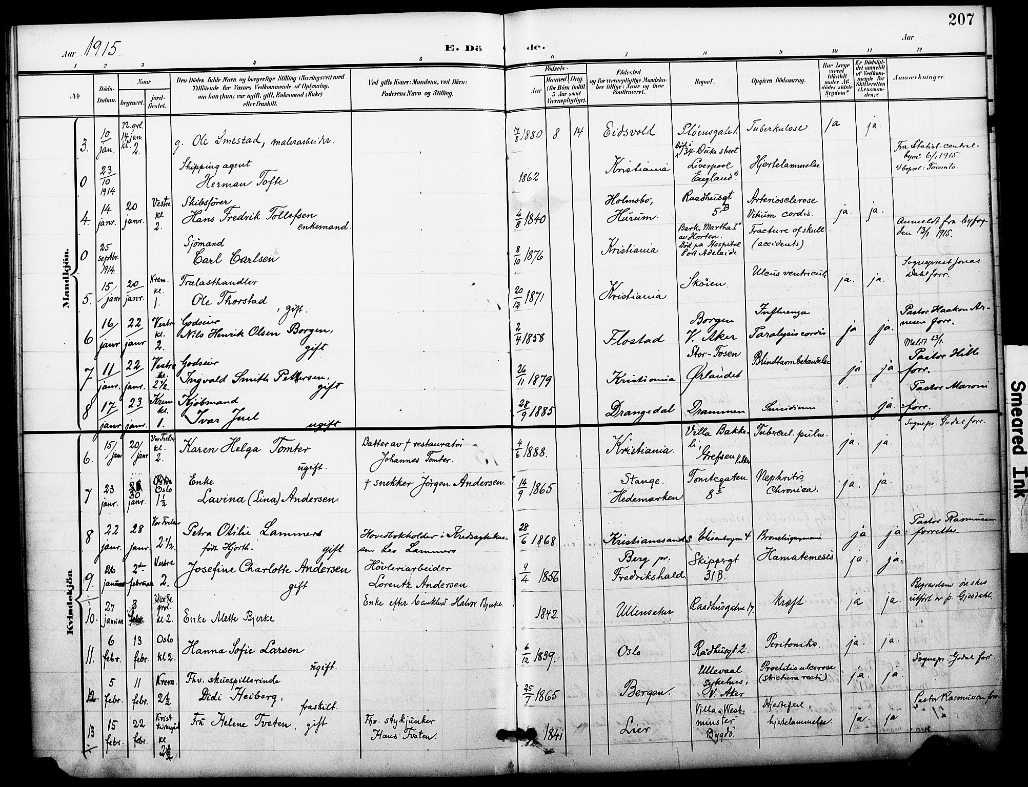Oslo domkirke Kirkebøker, SAO/A-10752/F/Fa/L0036: Parish register (official) no. 36, 1901-1919, p. 207