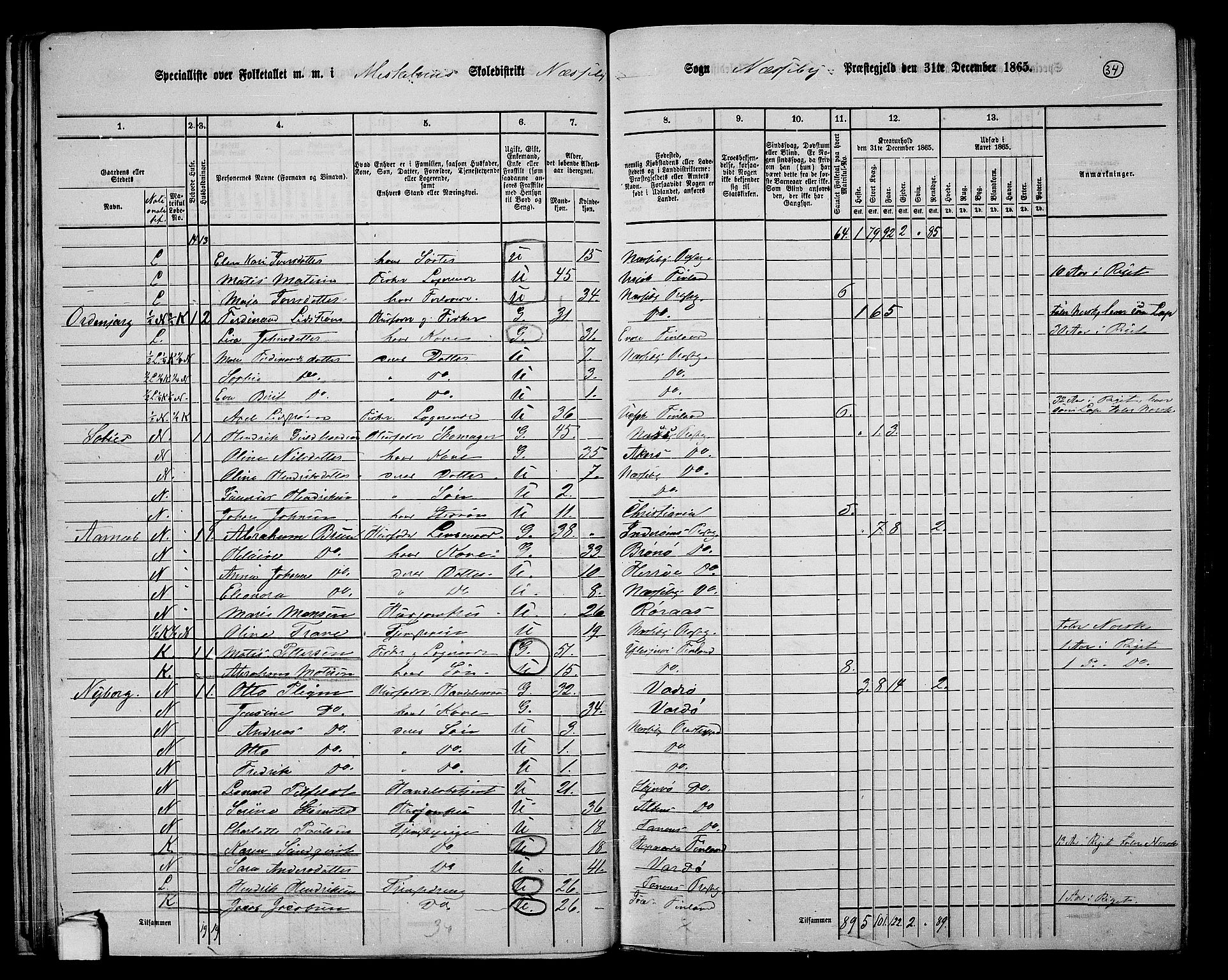 RA, 1865 census for Nesseby, 1865, p. 29