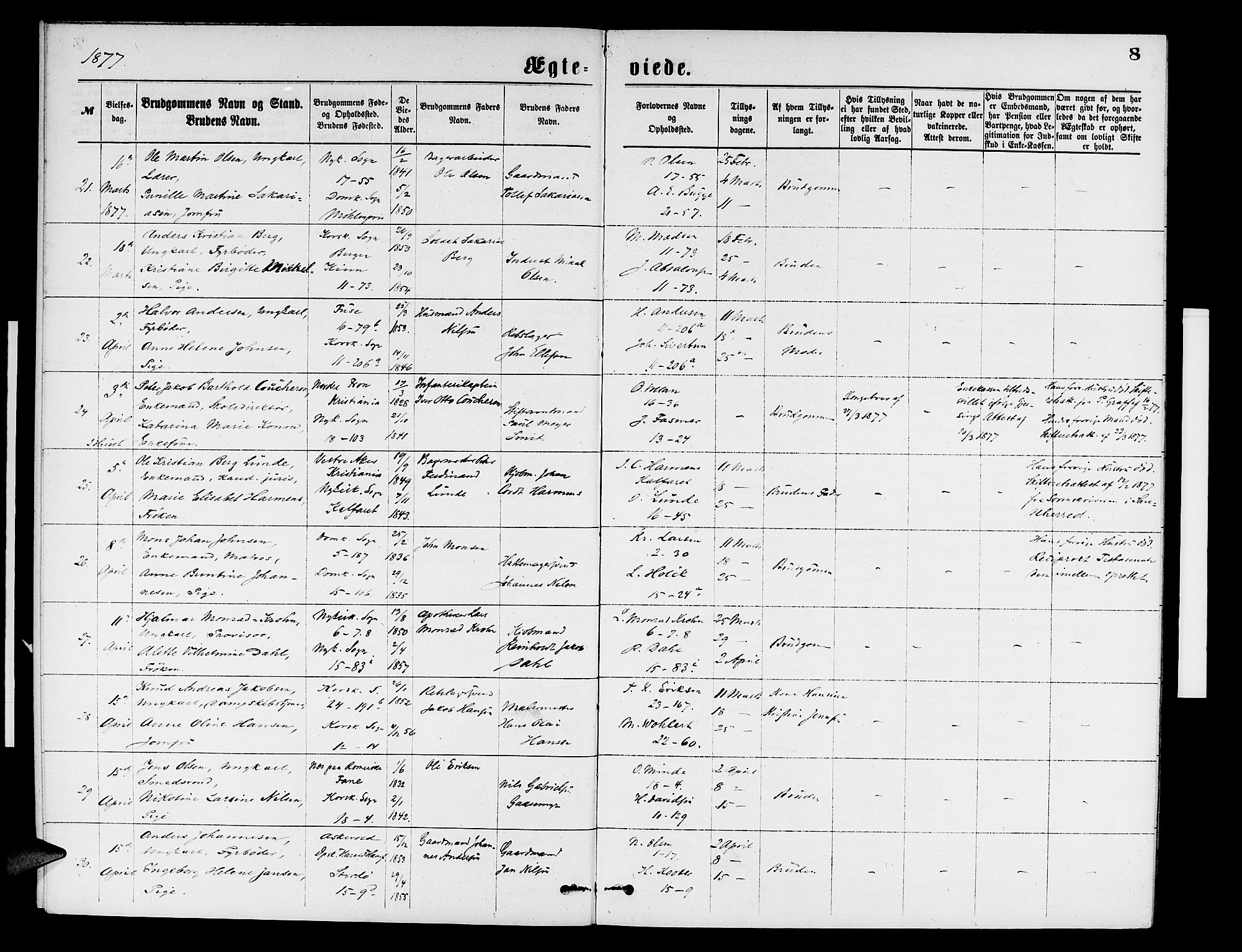 Domkirken sokneprestembete, AV/SAB-A-74801/H/Hab/L0031: Parish register (copy) no. D 3, 1877-1880, p. 8