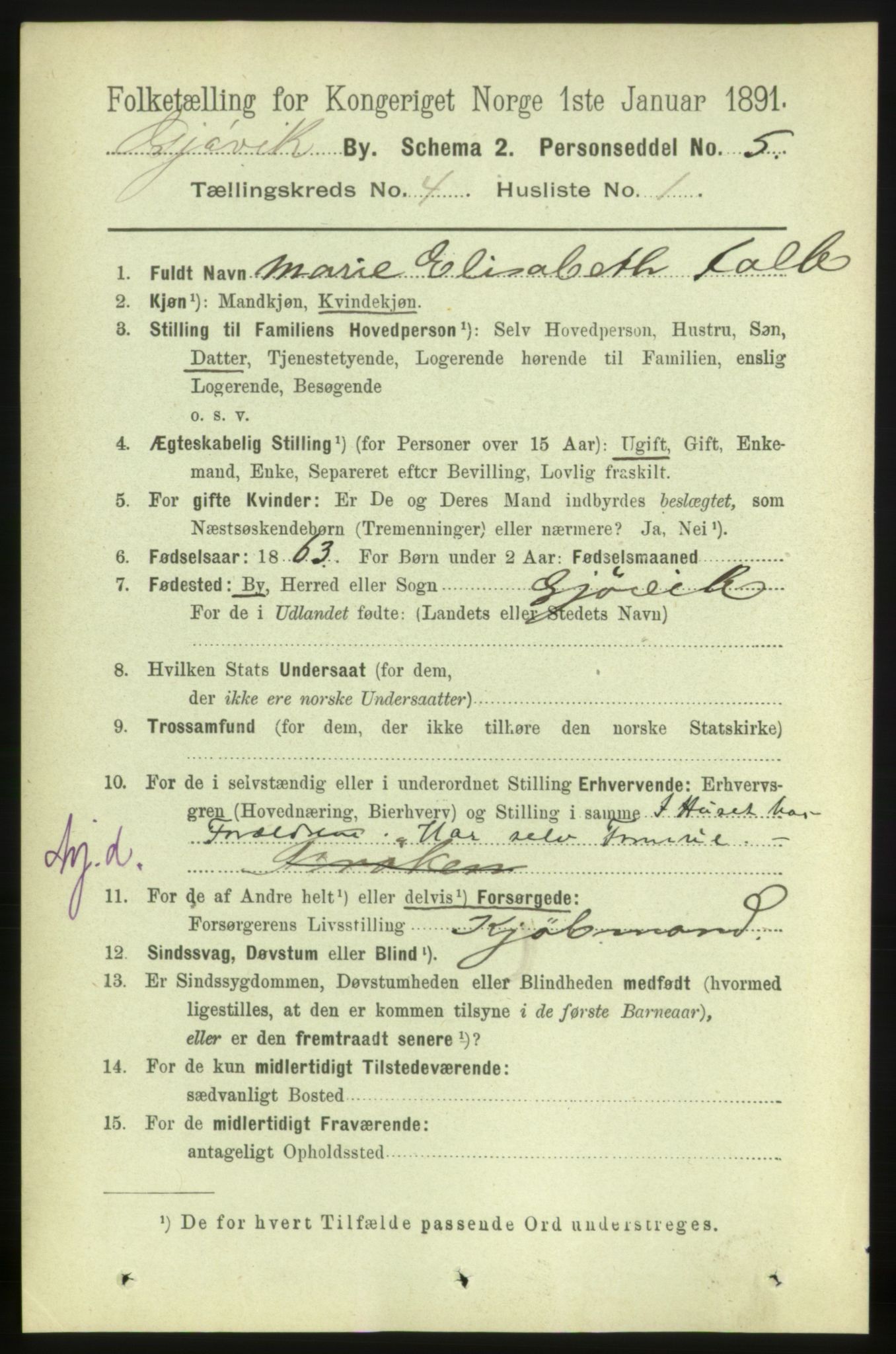 RA, 1891 census for 0502 Gjøvik, 1891, p. 1387