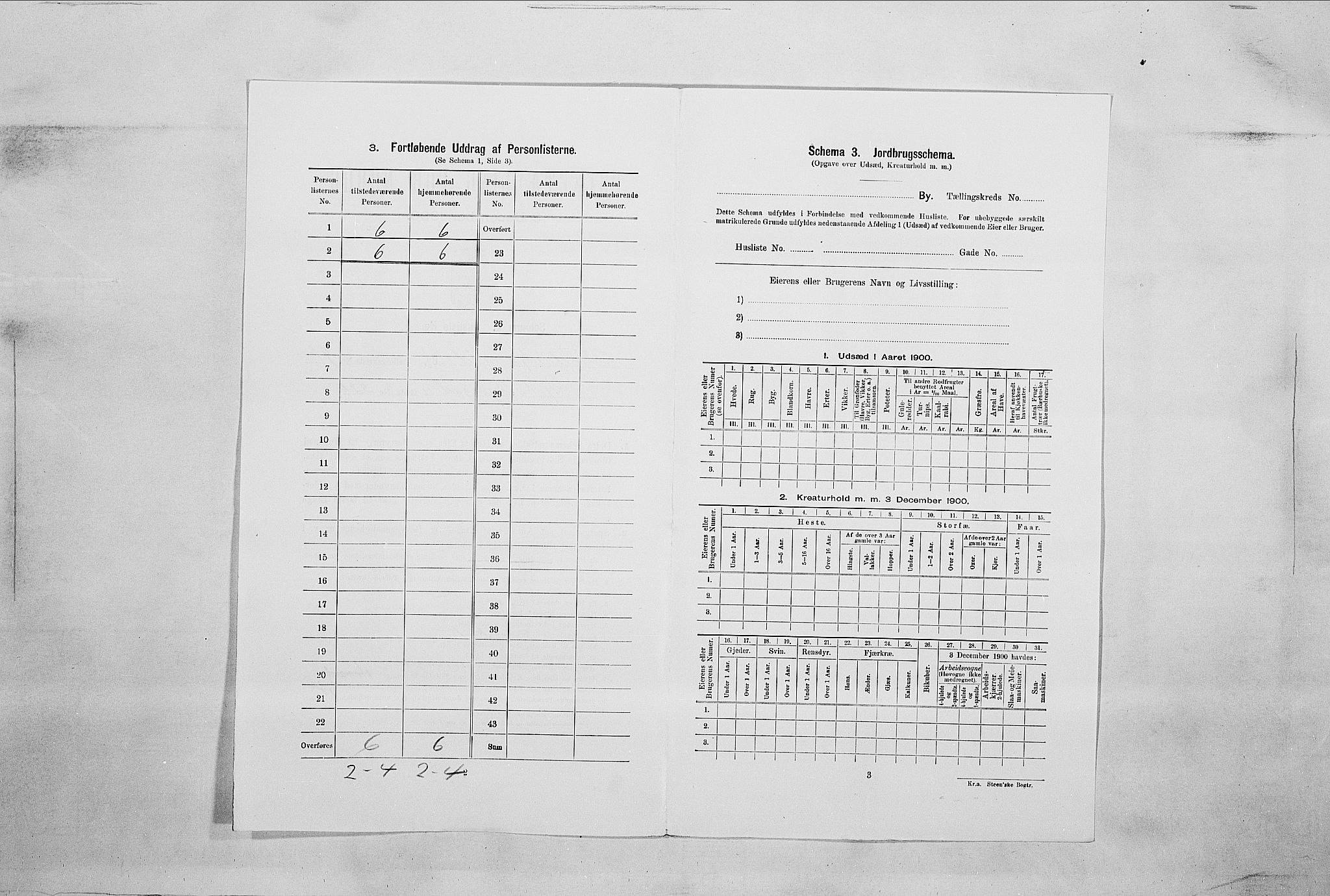 SAO, 1900 census for Fredrikshald, 1900