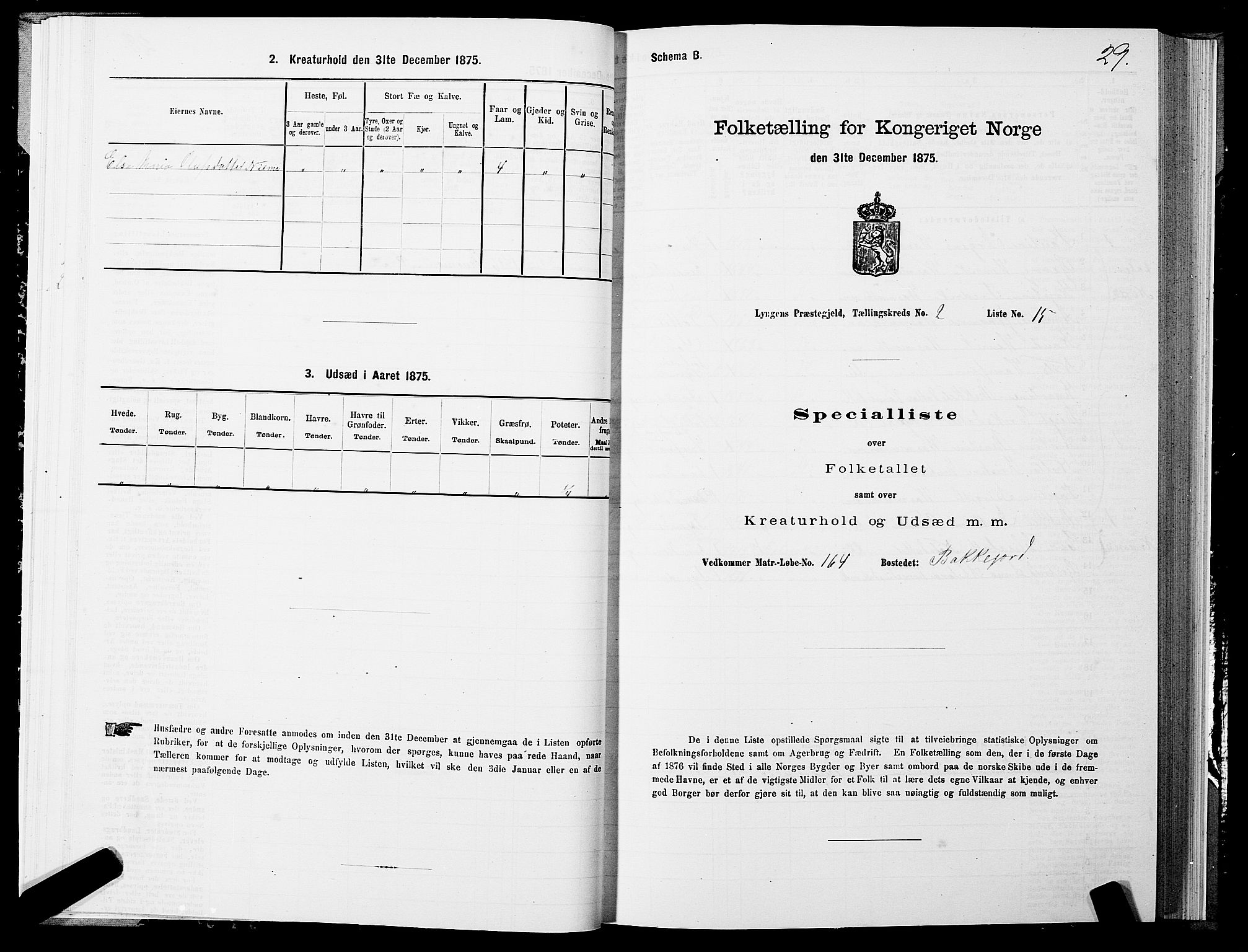 SATØ, 1875 census for 1938P Lyngen, 1875, p. 2029